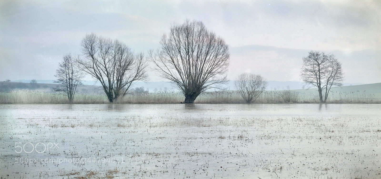 Nikon D800 sample photo. Dreariness photography