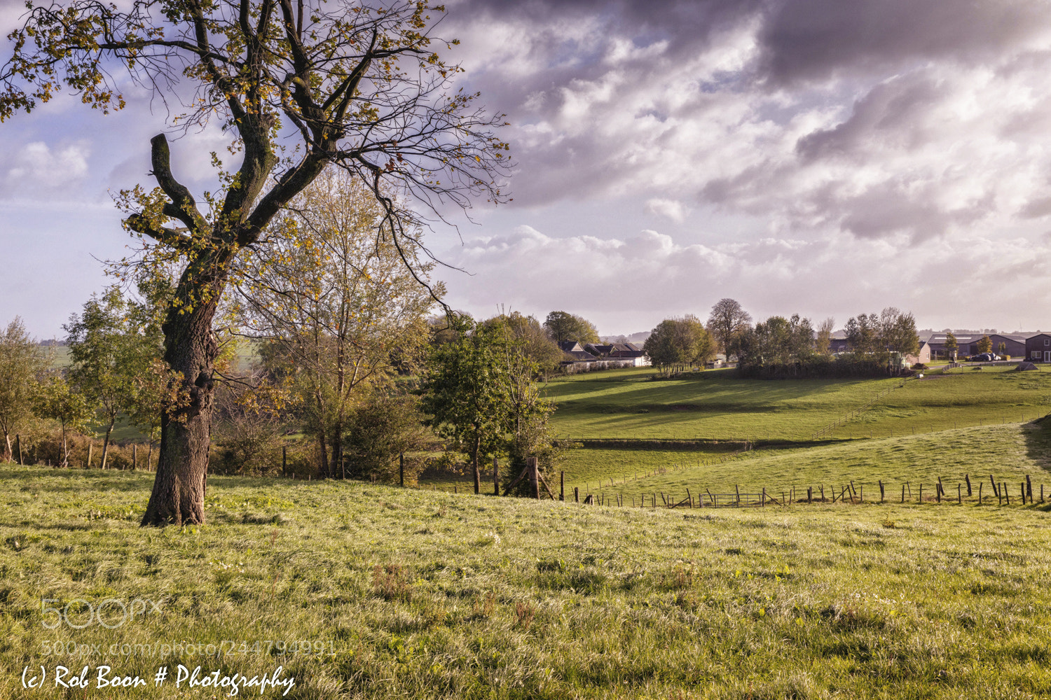 Canon EOS 5DS sample photo. Keutenberg, schin op geul photography