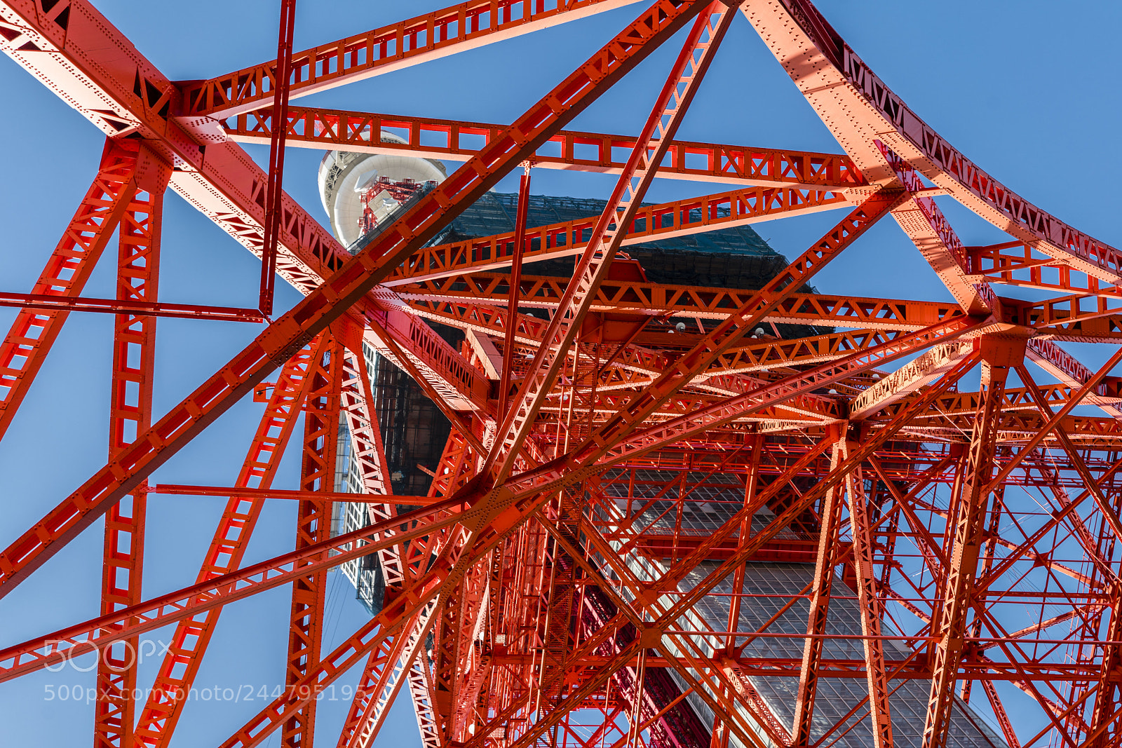 Sony a7R III sample photo. View from the ground photography