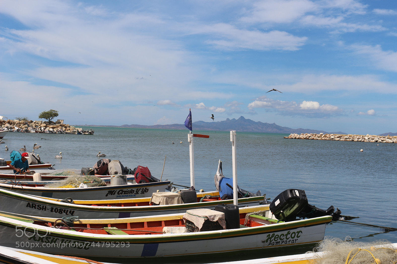 Canon EOS 700D (EOS Rebel T5i / EOS Kiss X7i) sample photo. PeÑeros photography