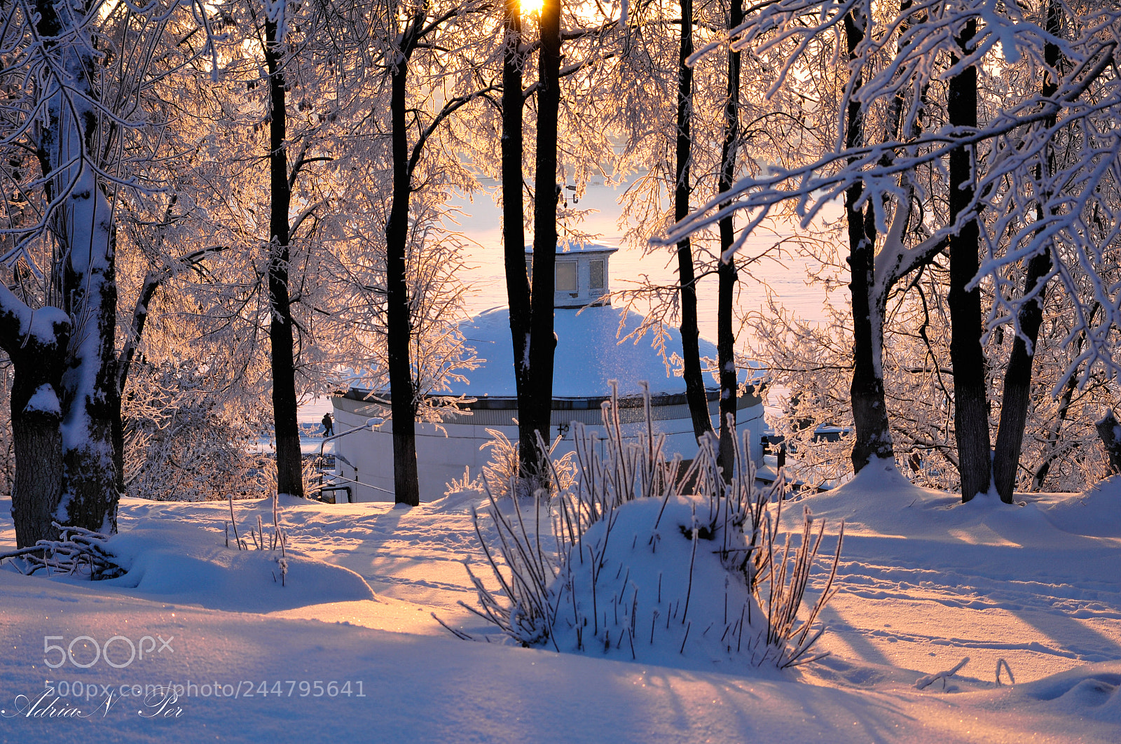 Nikon D300S sample photo. Freezing sunset photography