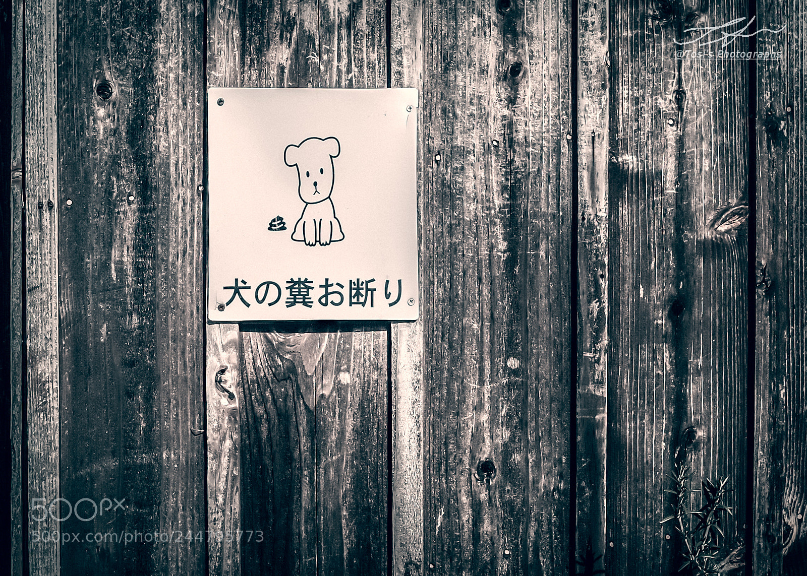 Ricoh GR sample photo. Sign - take back photography