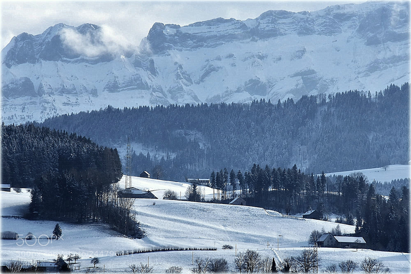 Nikon D7200 sample photo. "wild-one,;" photography