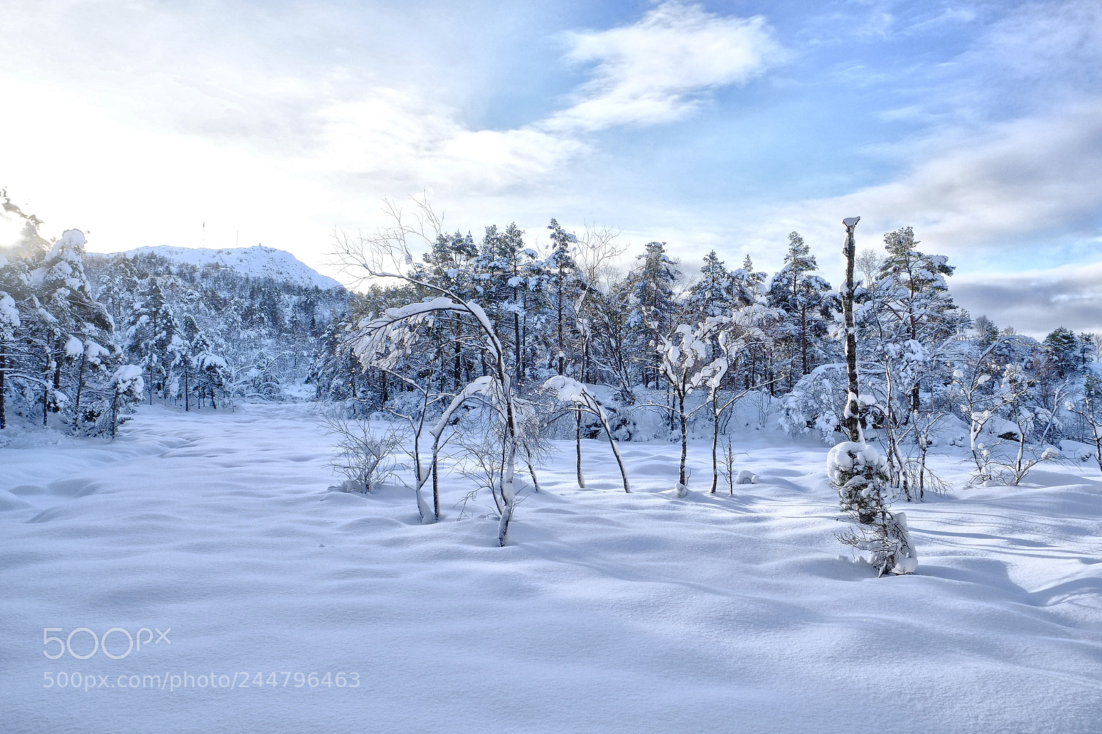 Fujifilm X-E1 sample photo. A lovely snowy field photography