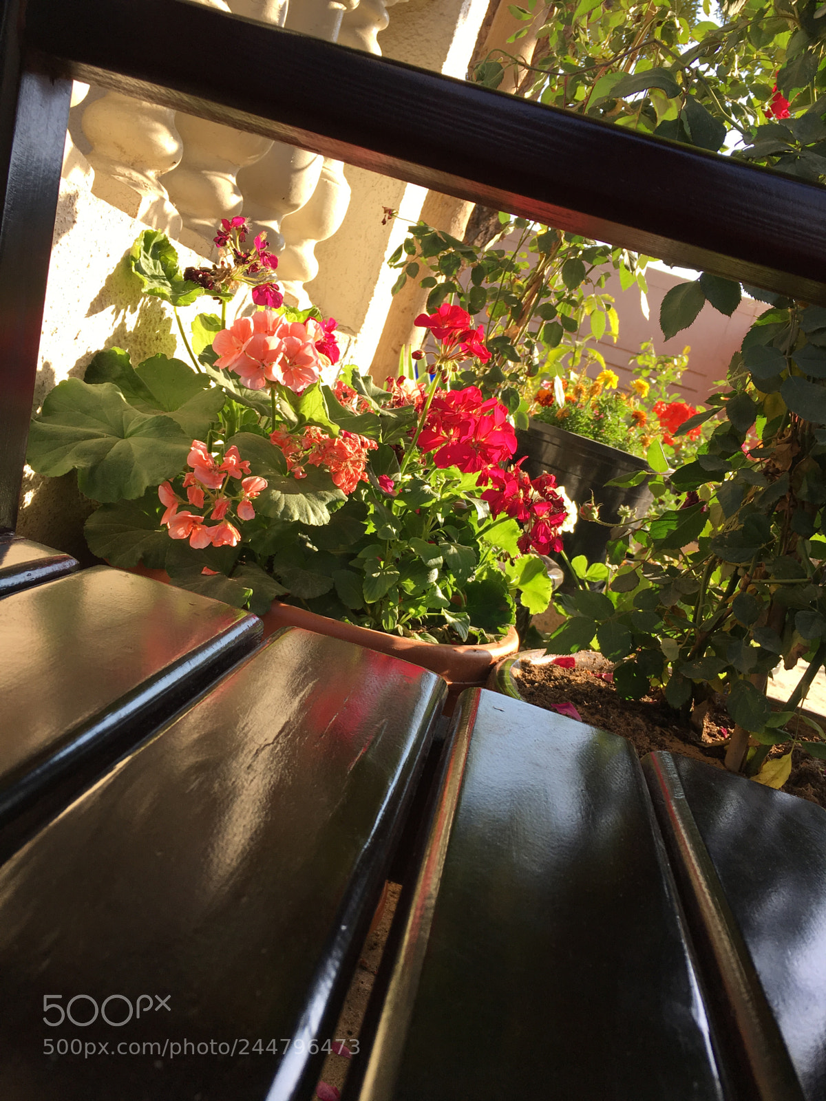 Apple iPhone 6s sample photo. Untitled photography