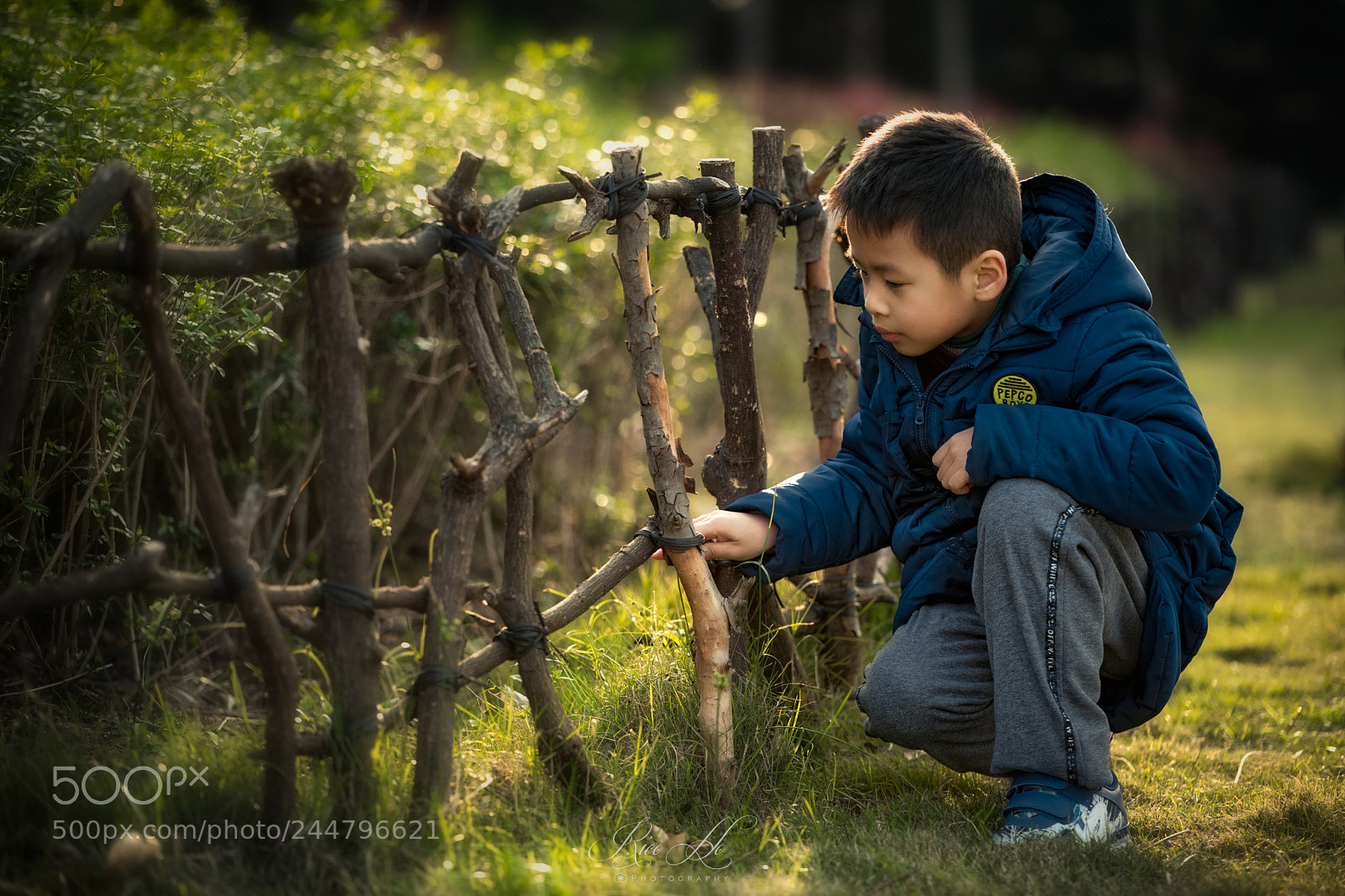 Nikon D850 sample photo. Seeking photography