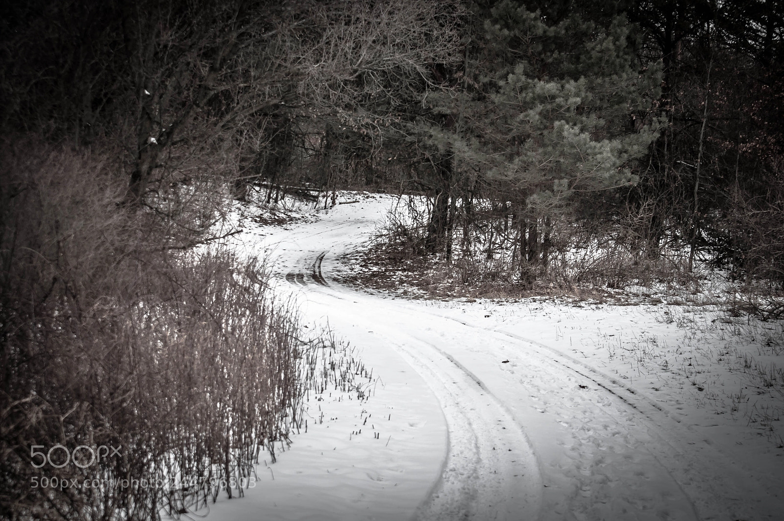 Nikon D90 sample photo. Enigmatic path photography