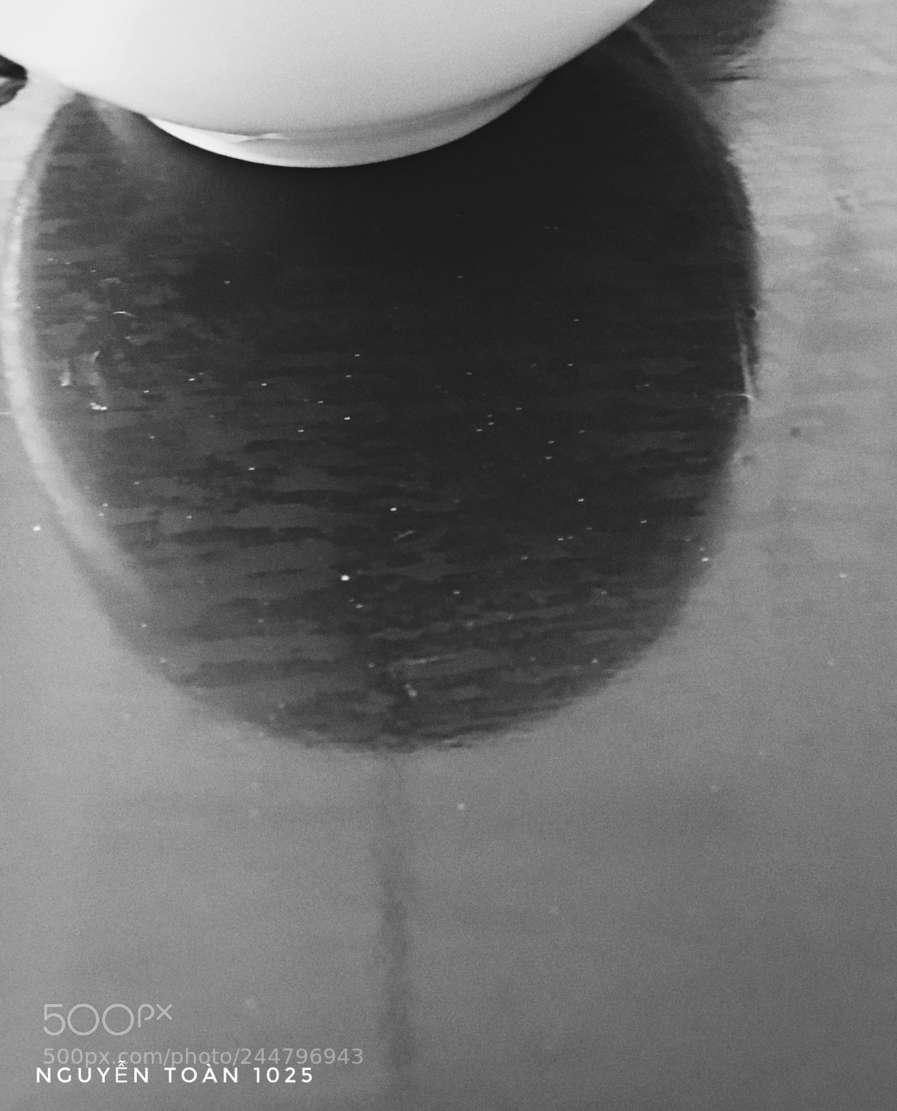 Apple iPhone 6s Plus sample photo. Untitled photography