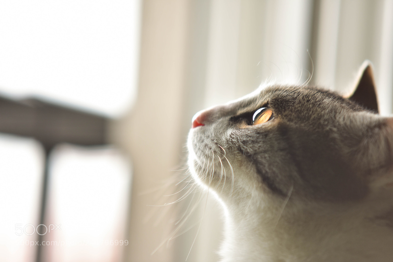 Nikon D810 sample photo. 토미 photography
