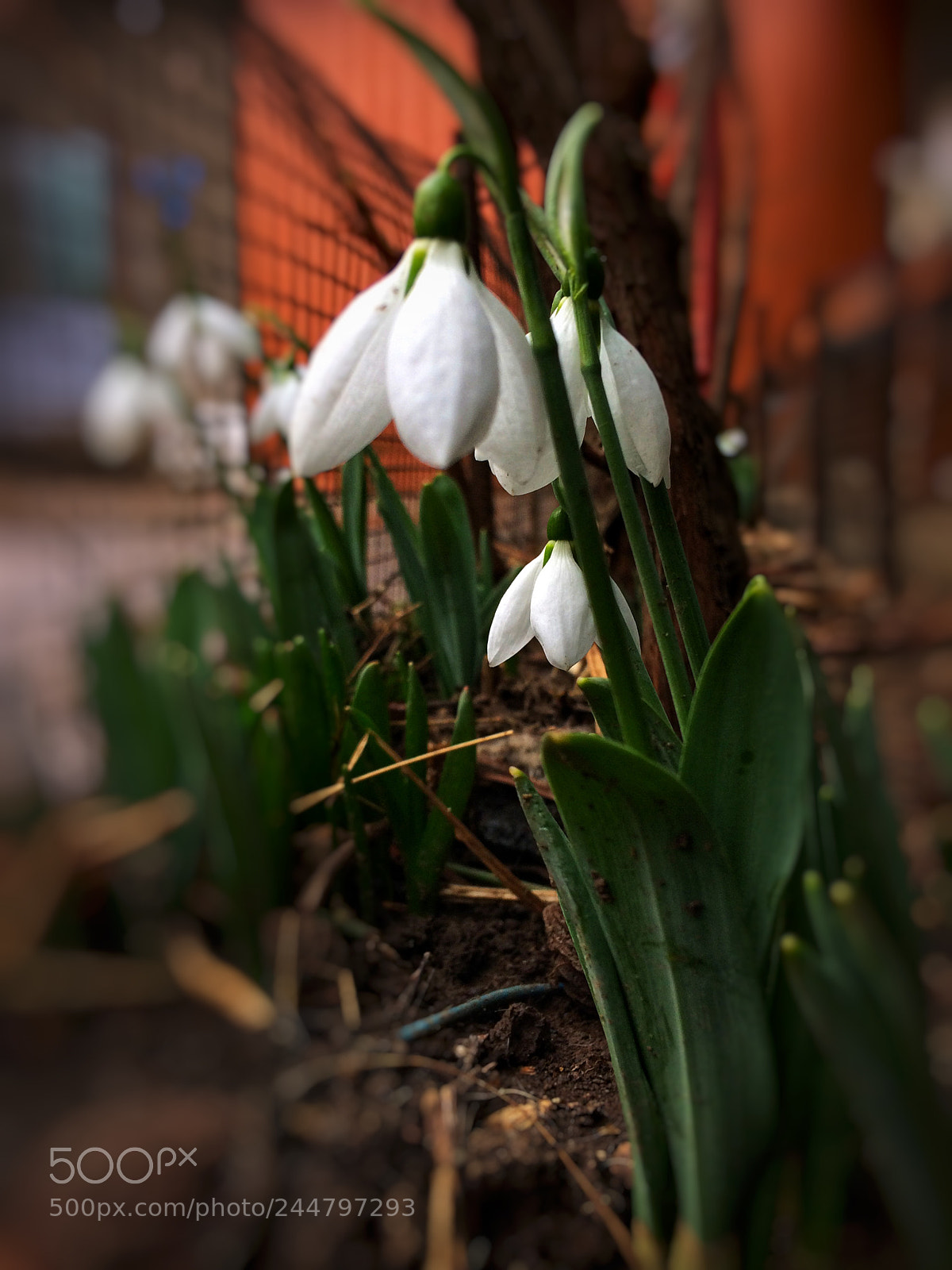 Apple iPhone 5s sample photo. Untitled photography