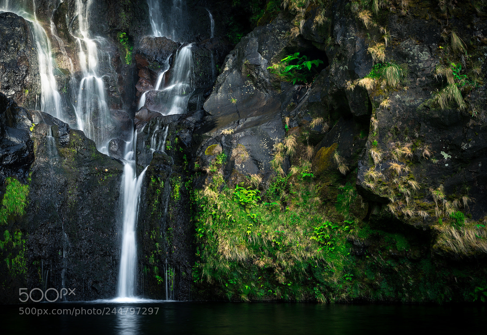 Sony a7R sample photo. Wall of life photography