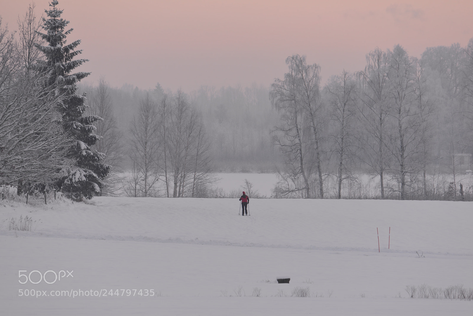 Nikon D610 sample photo. Skiing in the landscape photography
