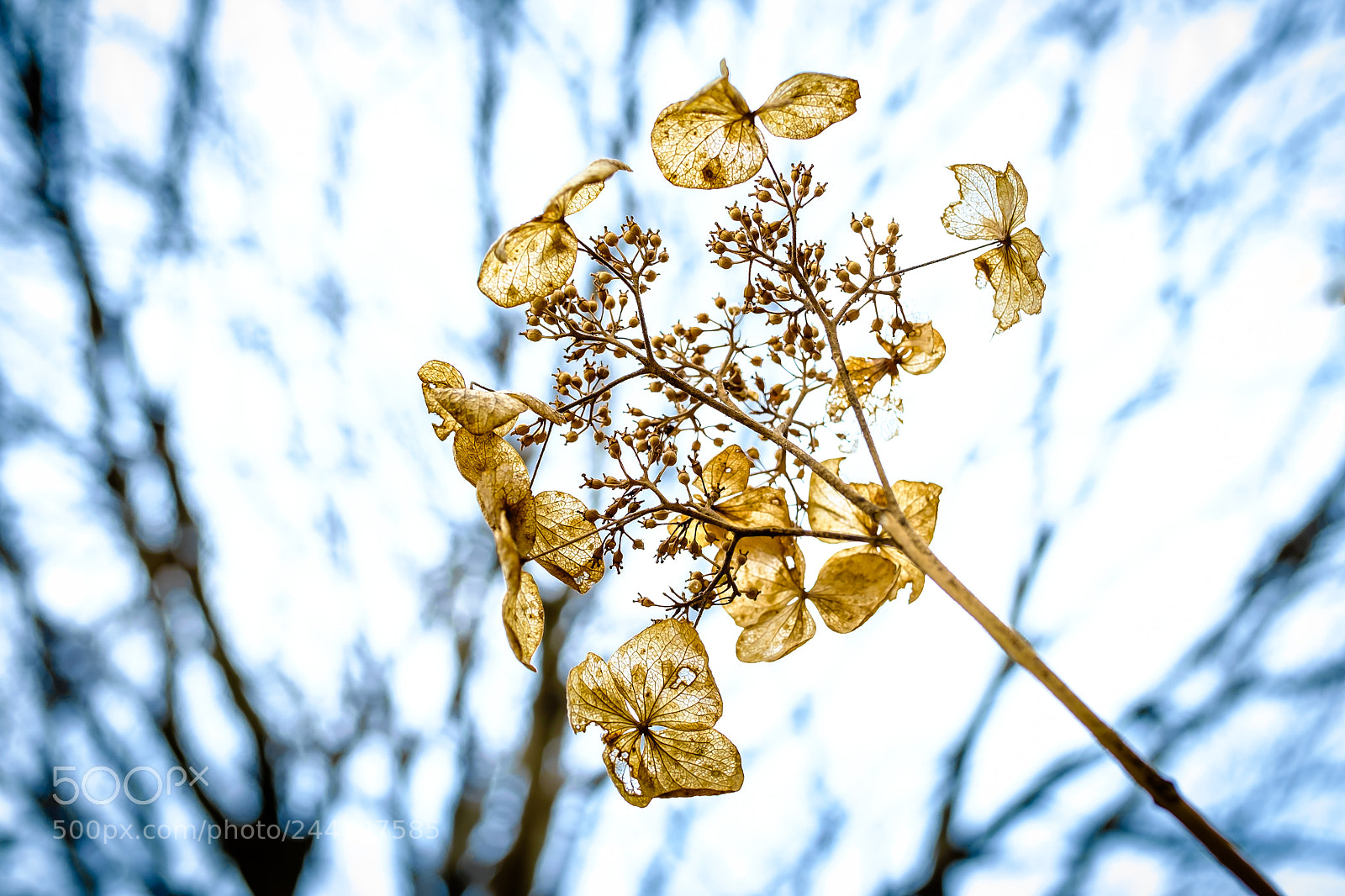 Fujifilm X-Pro1 sample photo. To the next generation photography