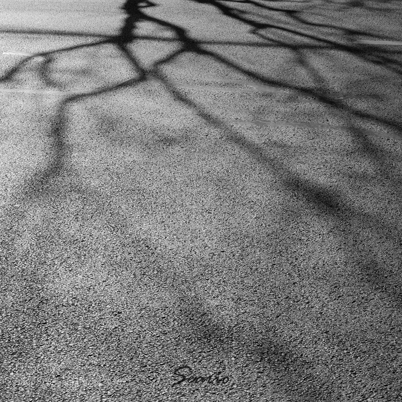 Panasonic Lumix DMC-LX100 sample photo. Untitled photography