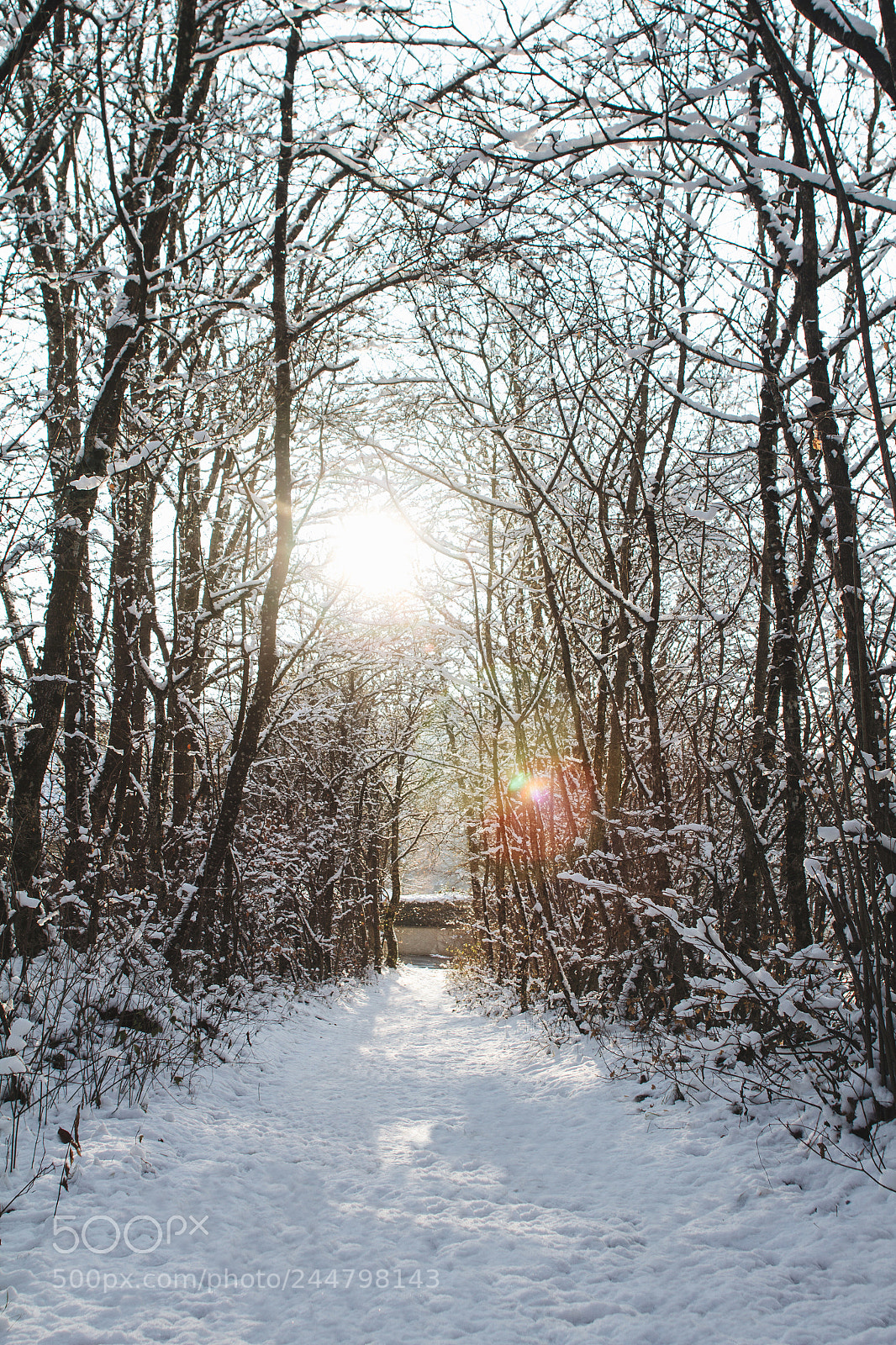 Canon EOS 60D sample photo. Neige photography