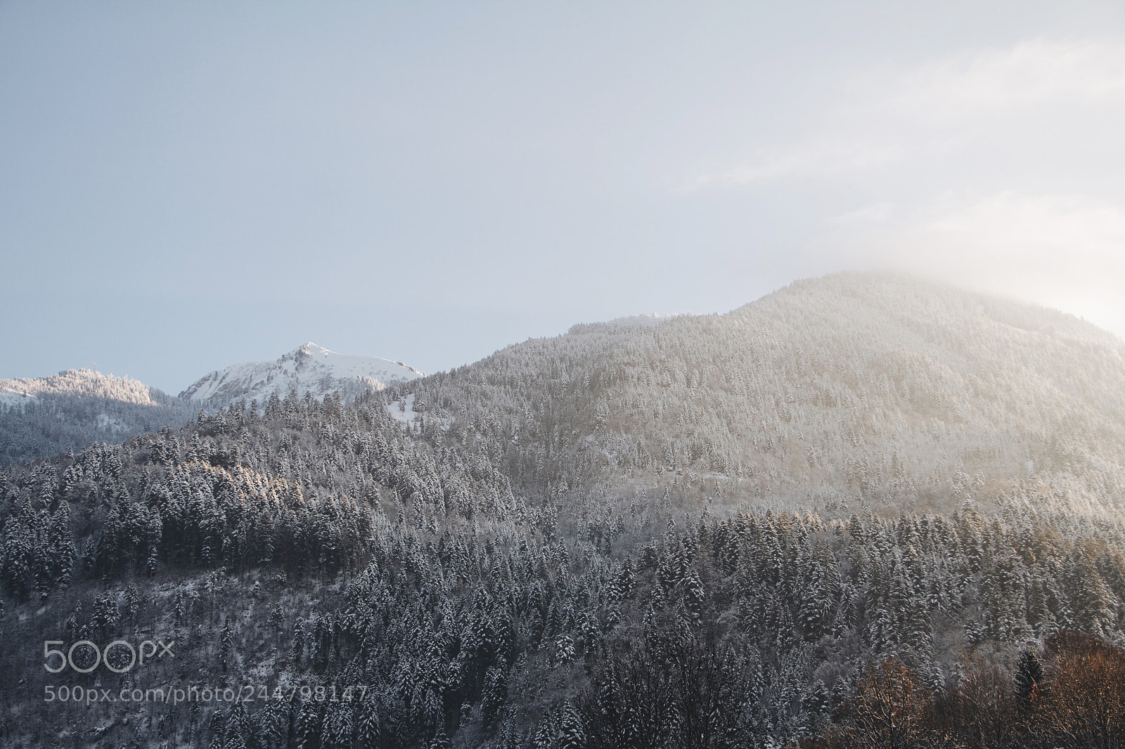 Canon EOS 60D sample photo. Neige photography