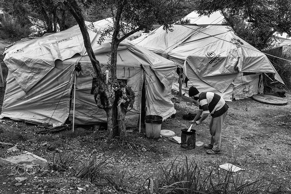 Olympus OM-D E-M5 sample photo. Lesbos photography