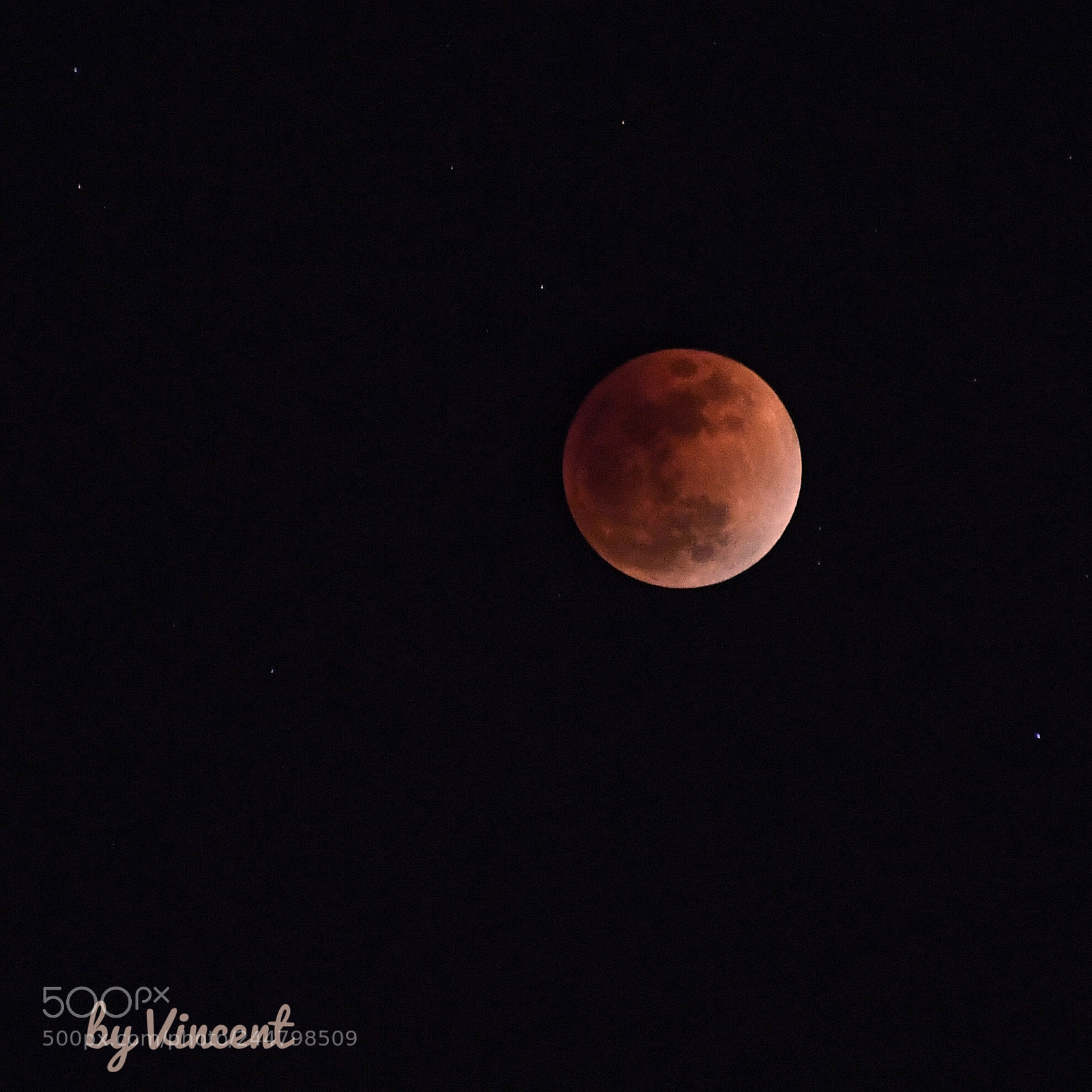 Nikon D5 sample photo. Blood moon photography