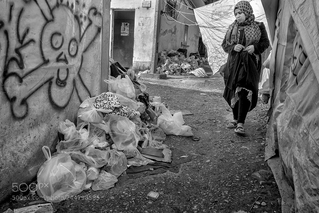 Olympus OM-D E-M5 sample photo. Lesbos photography