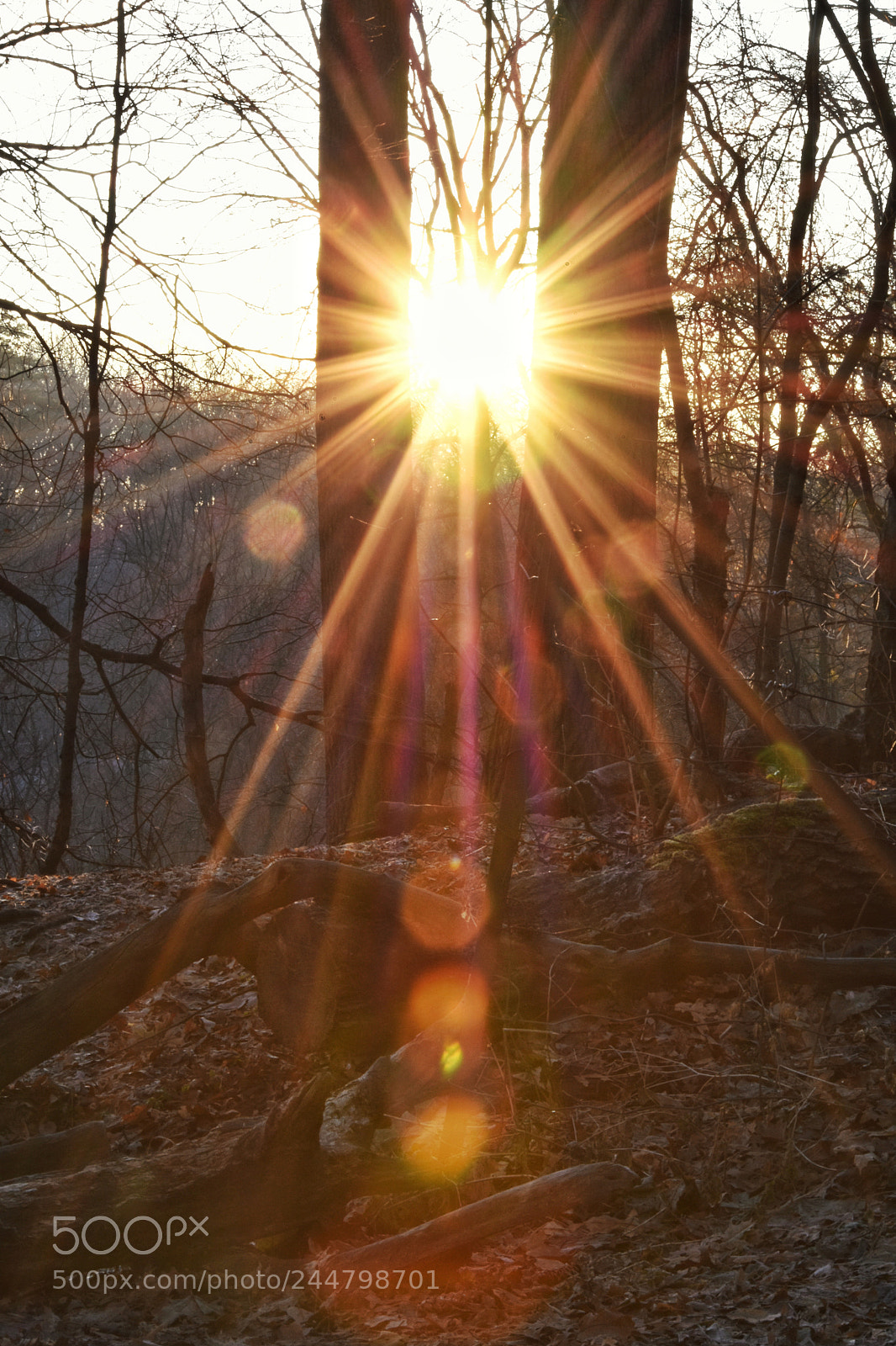Nikon D7200 sample photo. Untitled photography