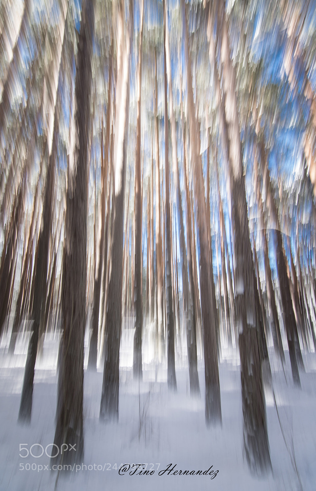 Nikon D7200 sample photo. Snow abstract photography