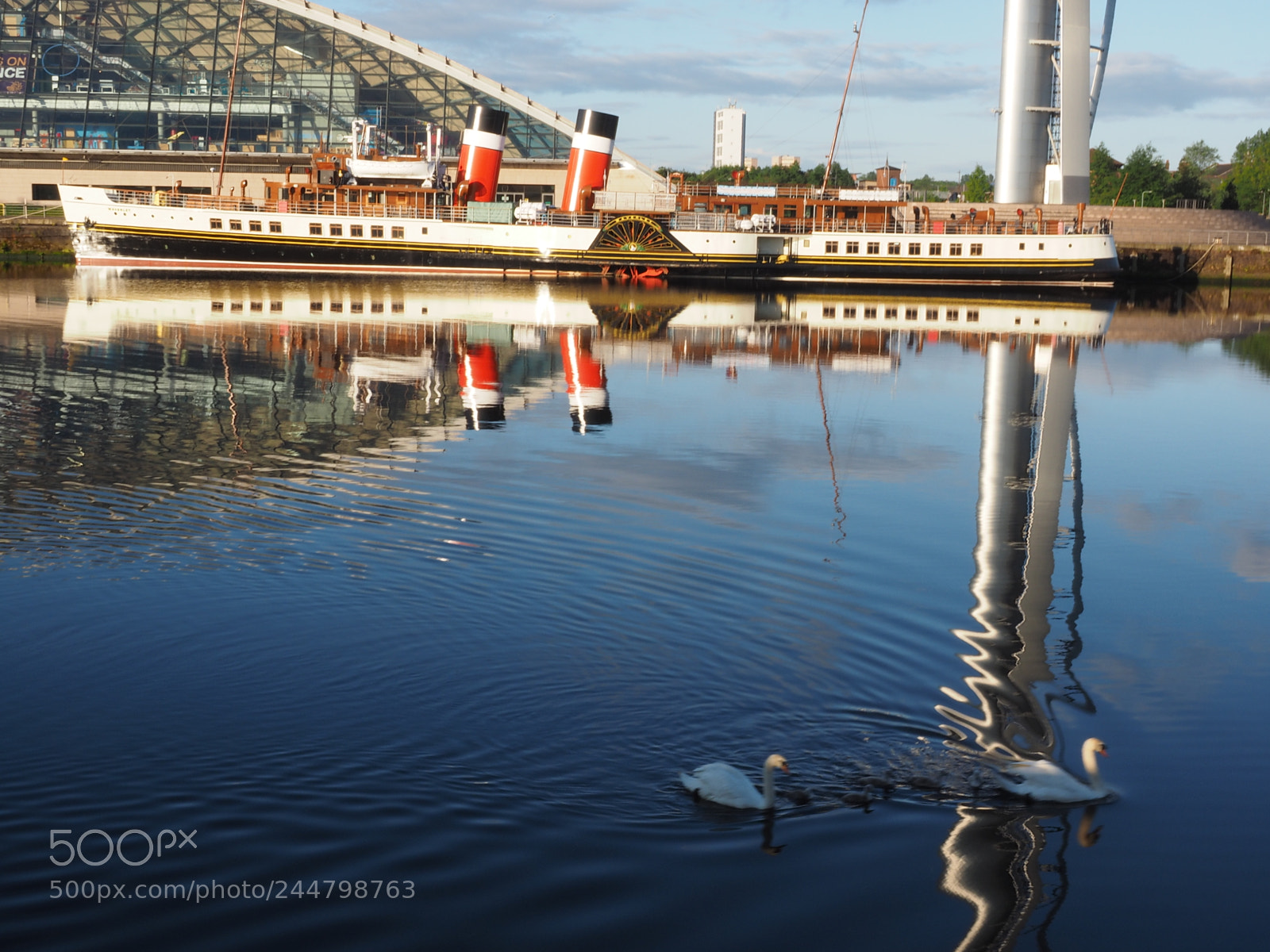 Olympus OM-D E-M1 sample photo. Swans on the river photography