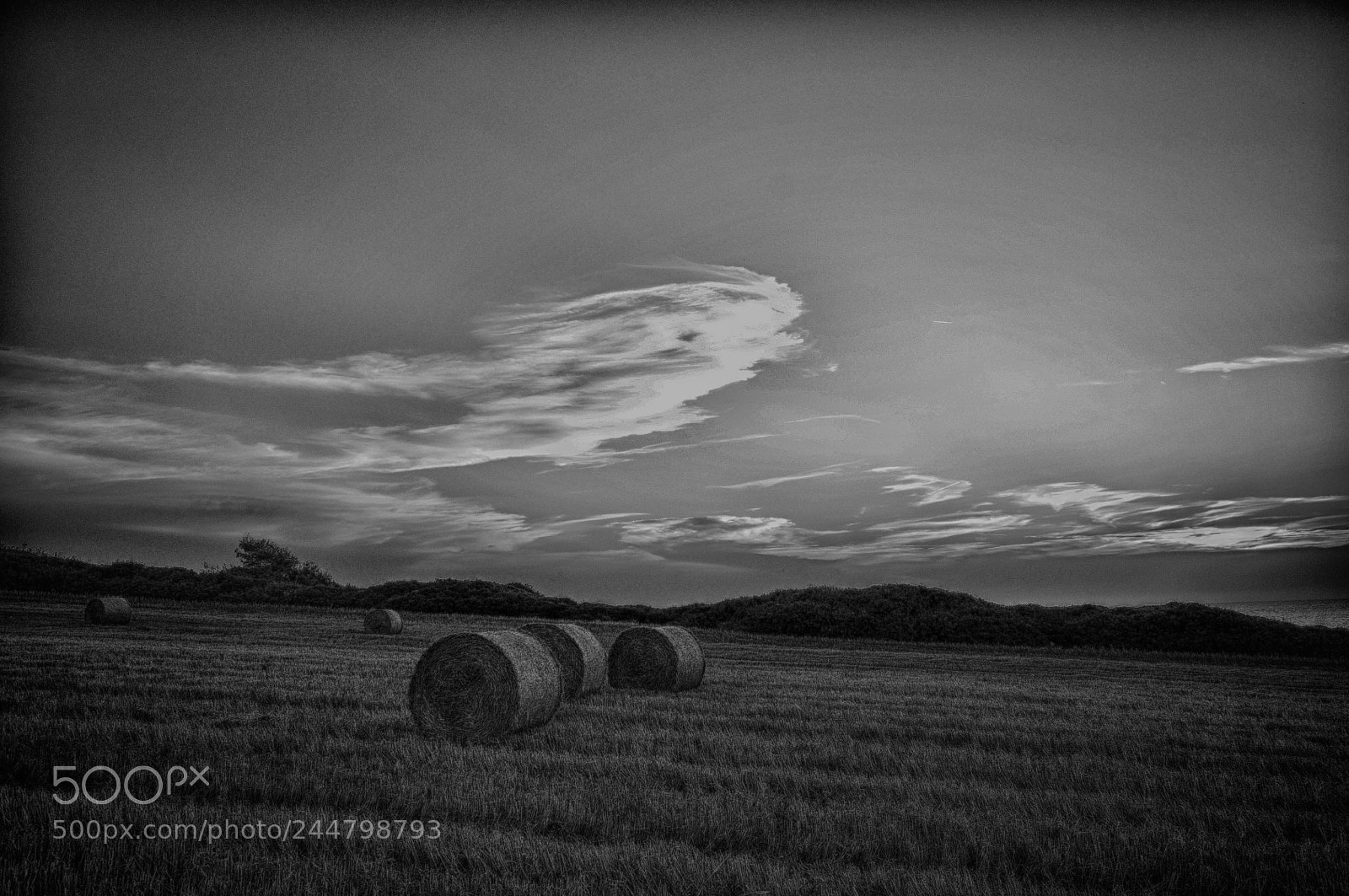 Nikon D90 sample photo. Strow in the fields photography