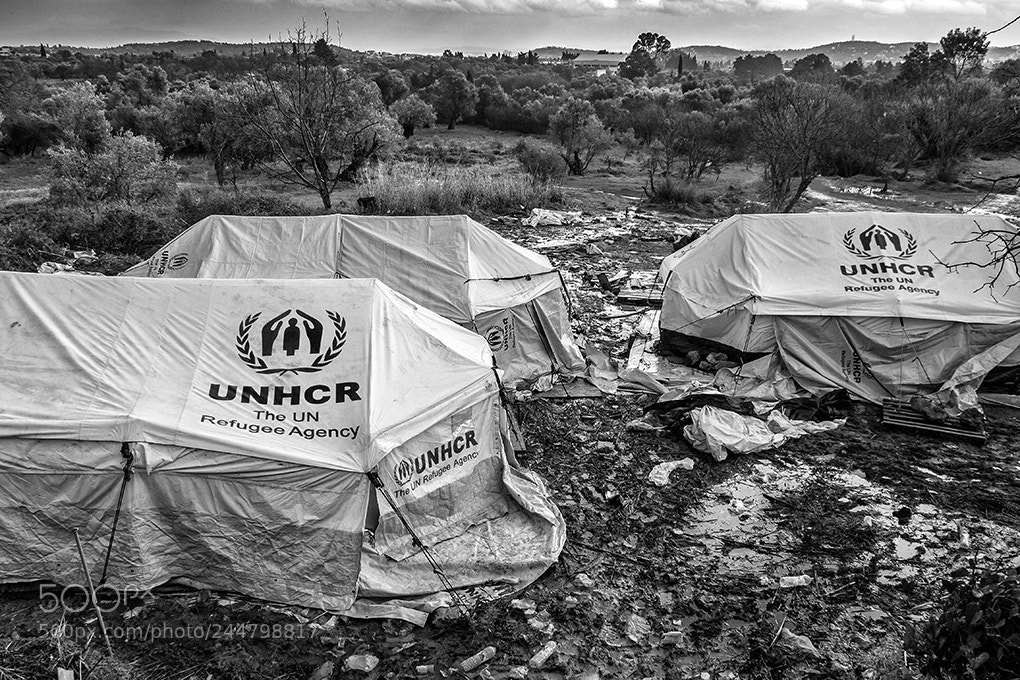 Olympus OM-D E-M5 II sample photo. Lesbos photography