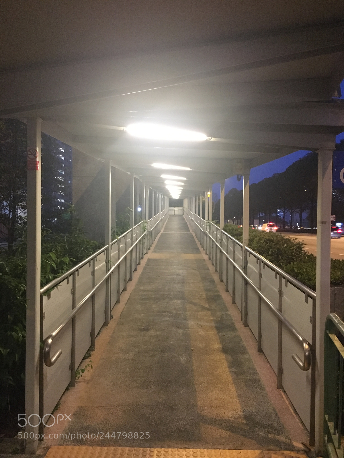 Apple iPhone 6s sample photo. 06. whampoa photography