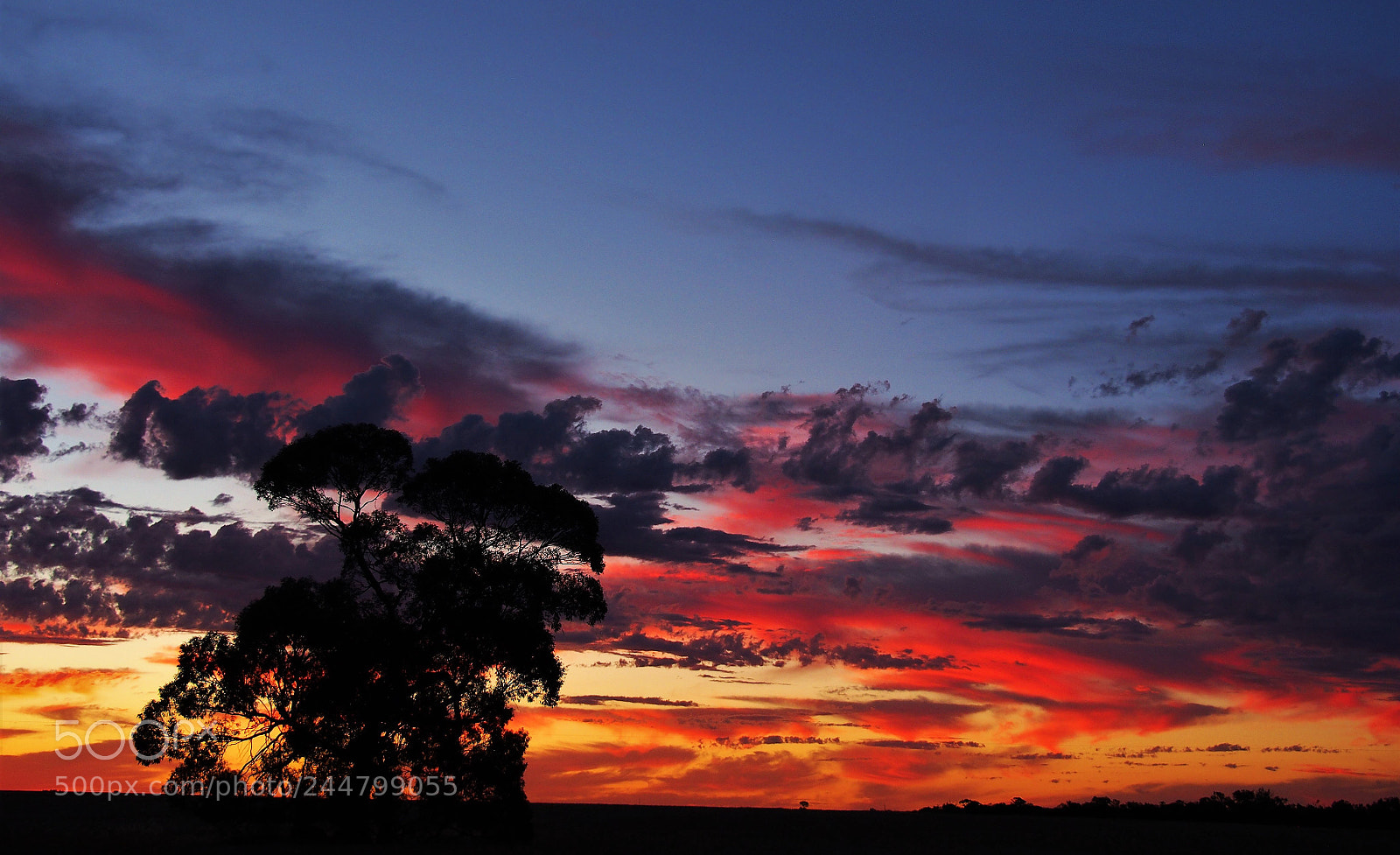 Olympus OM-D E-M5 sample photo. Sunset kewell vivtoria australia photography