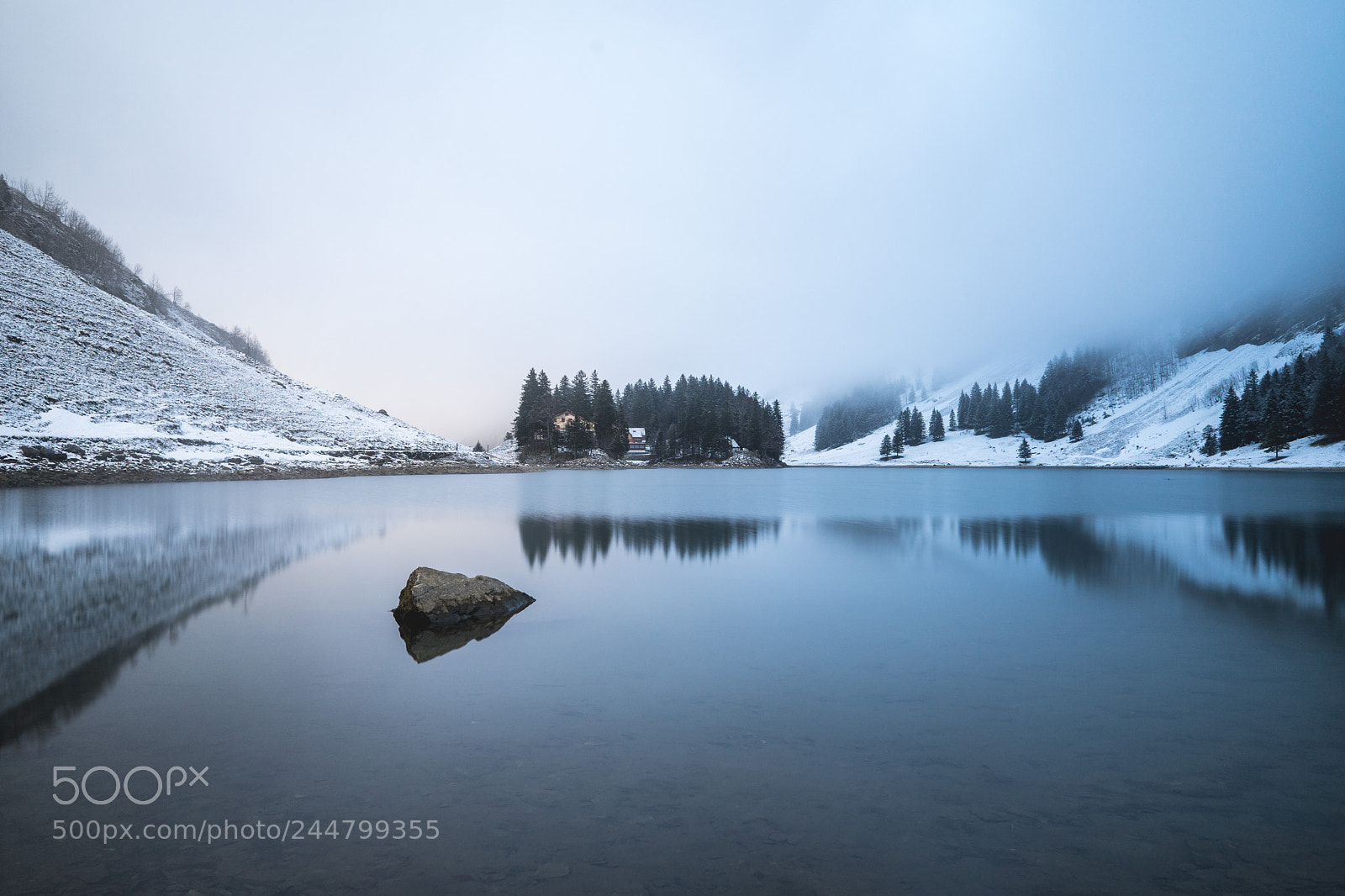 Sony a7 II sample photo. Foggy winter photography