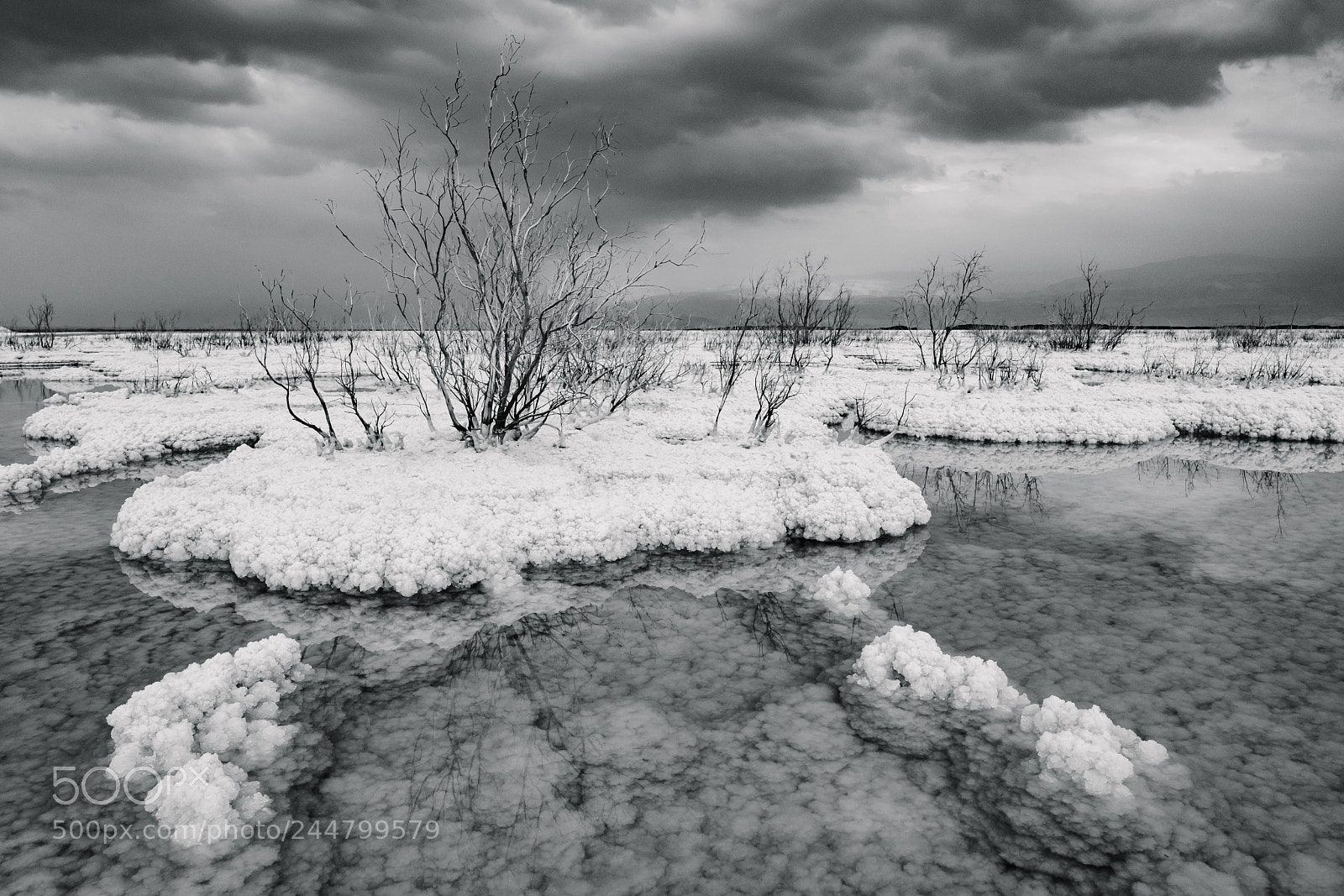 Fujifilm X-T2 sample photo. The dead sea dying photography