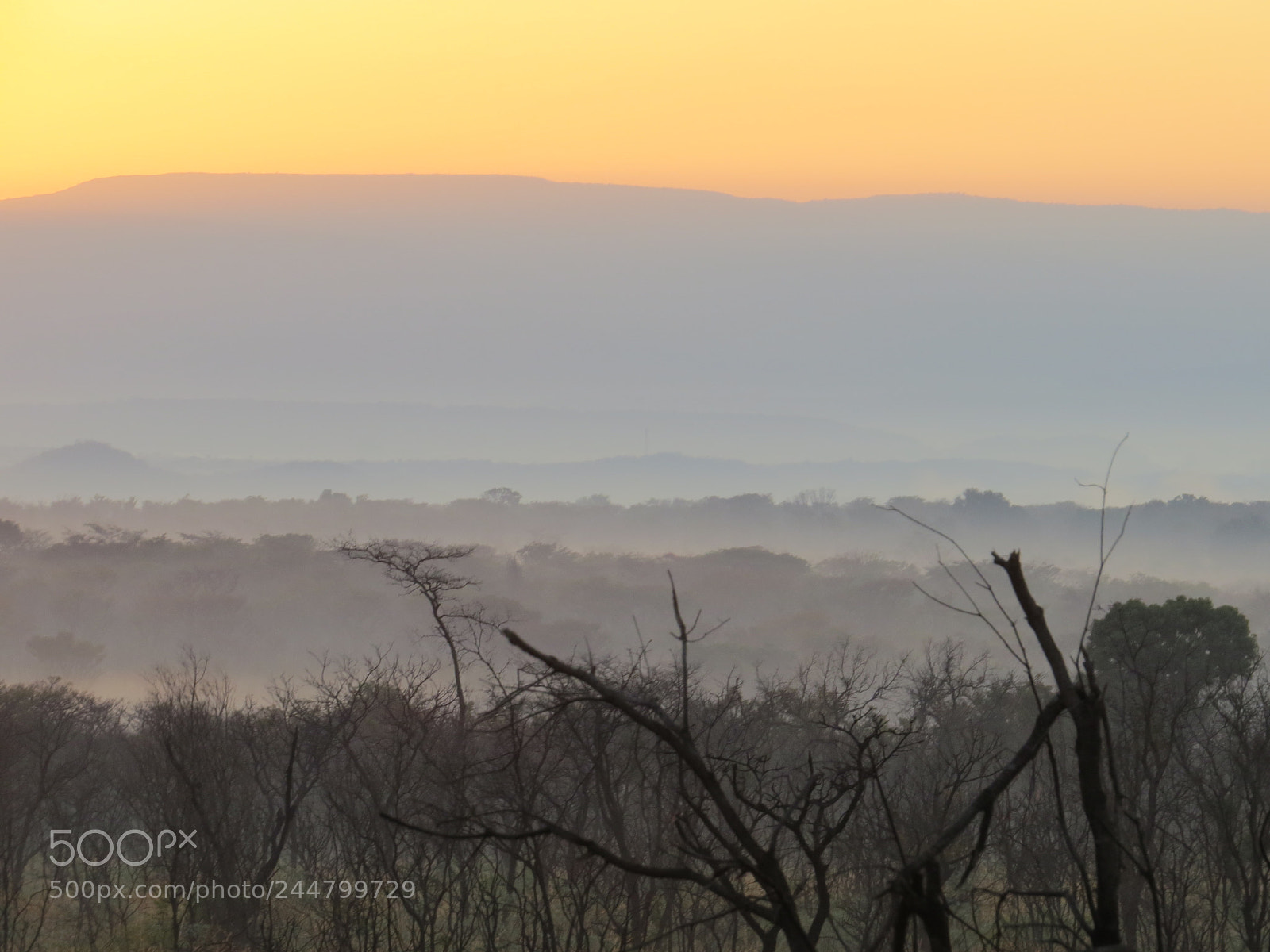 Canon PowerShot SX50 HS sample photo. Entambeni sunrise photography