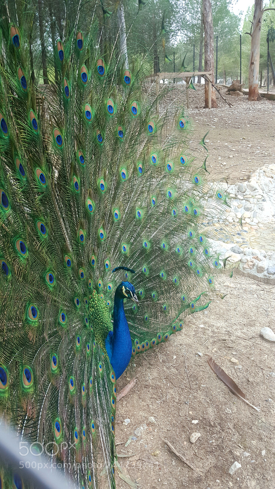 Samsung Galaxy Note5 sample photo. Untitled photography