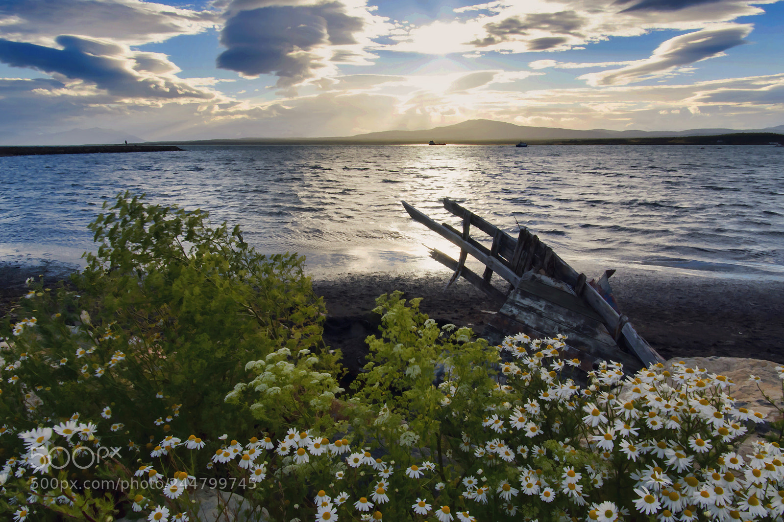 Nikon D7200 sample photo. Summer in the south photography