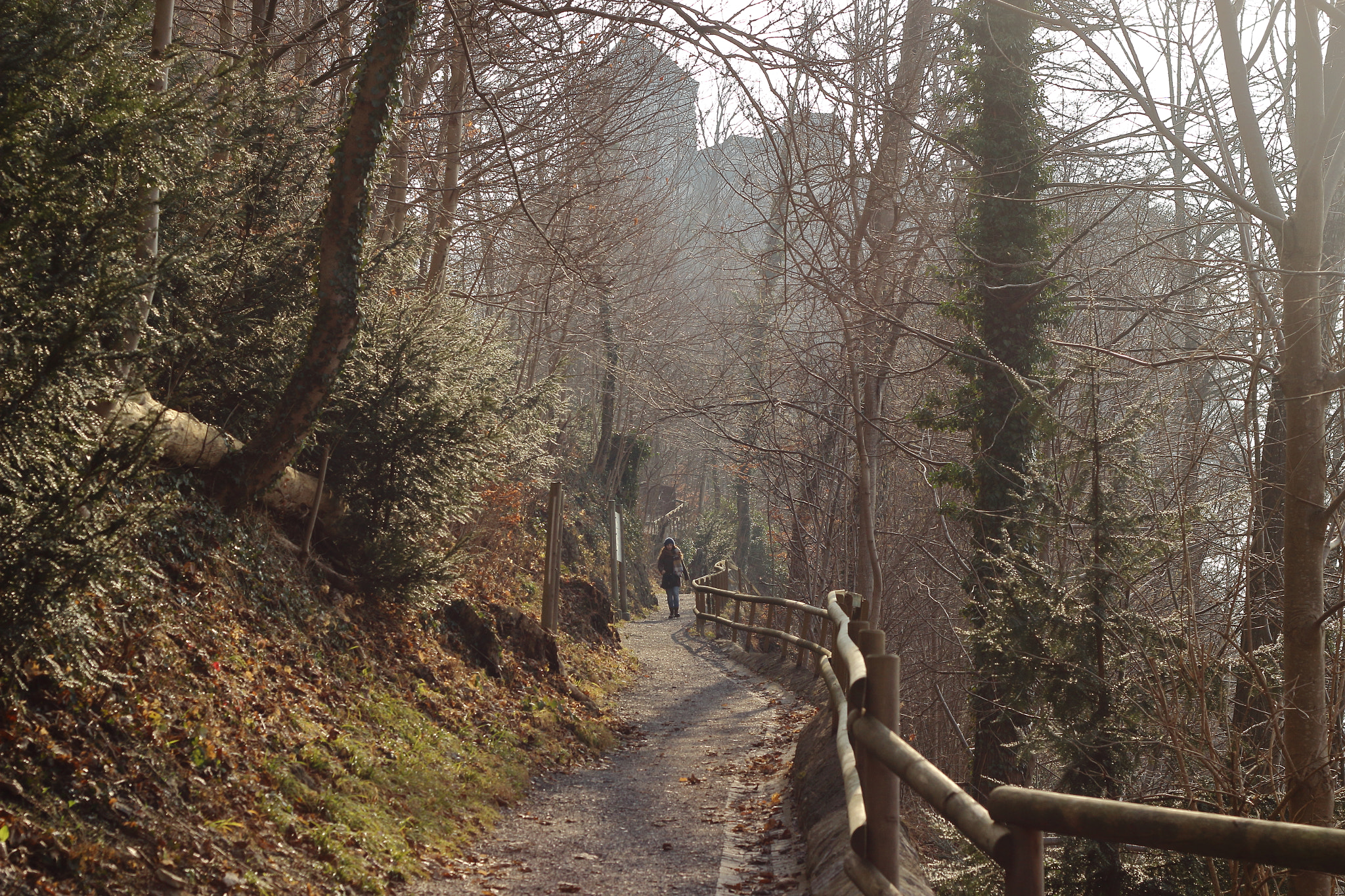 Canon EF 50mm F1.8 II sample photo. Wanderlust photography