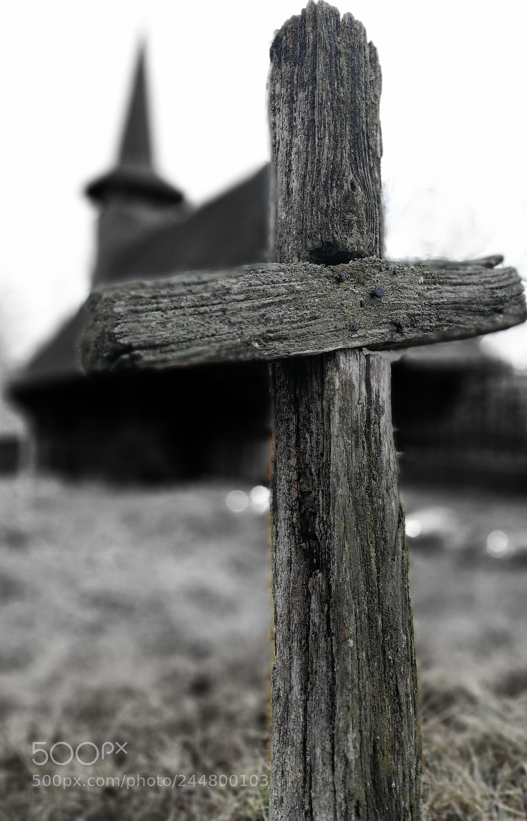 HUAWEI P10 sample photo. Heaven's wood photography