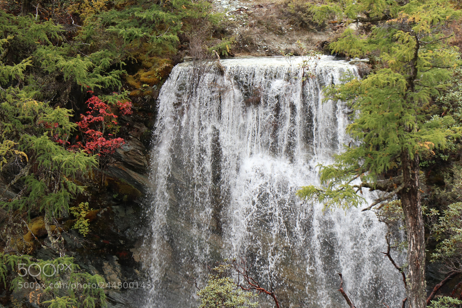 Canon EOS M6 sample photo. Daocheng yading photography