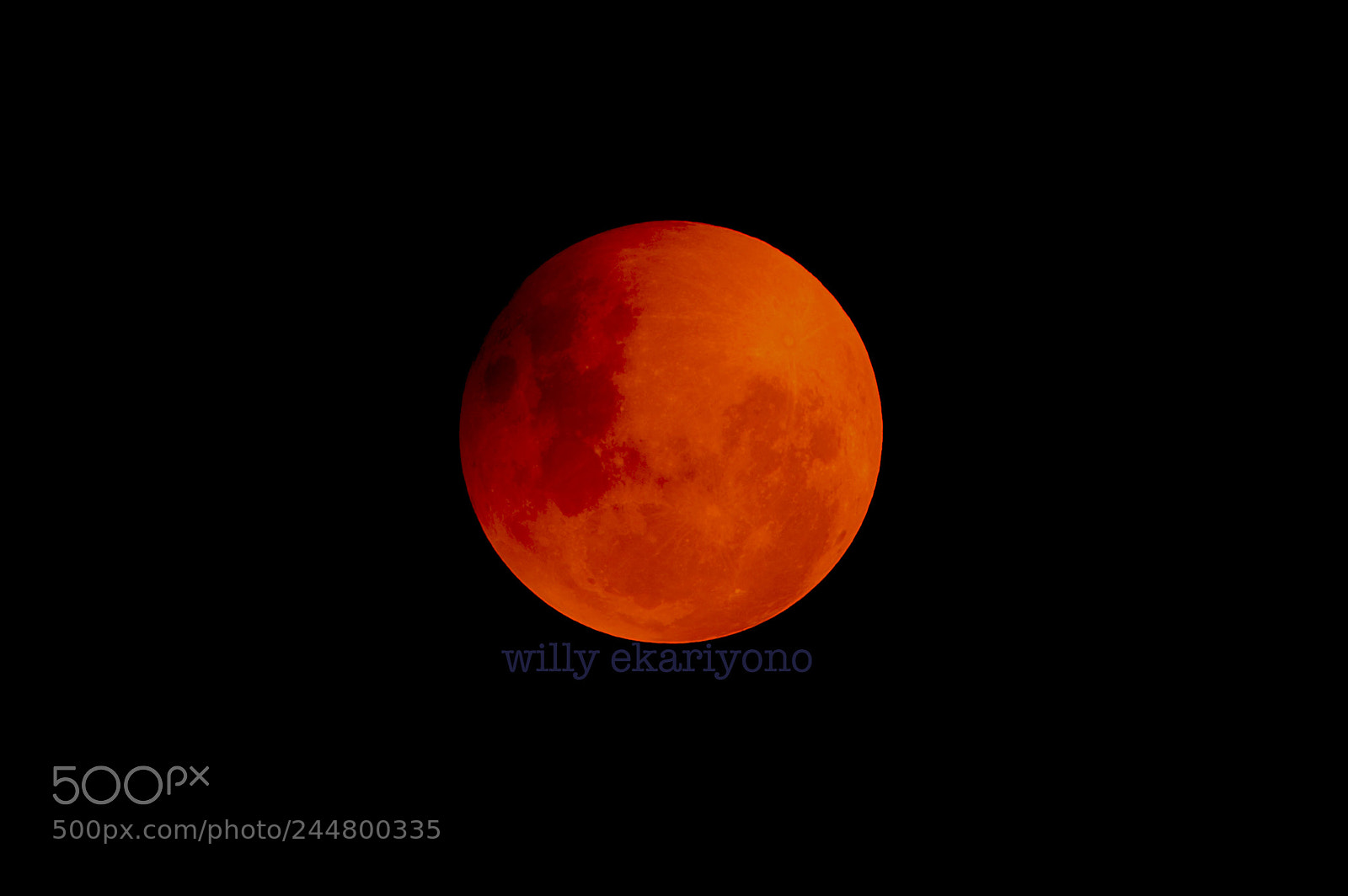 Nikon D4S sample photo. Blue blood moon photography