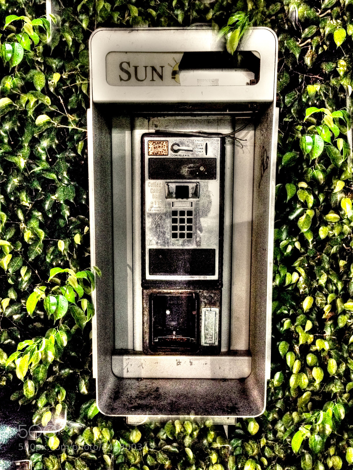 Apple iPhone 5 sample photo. Once upon a dime photography
