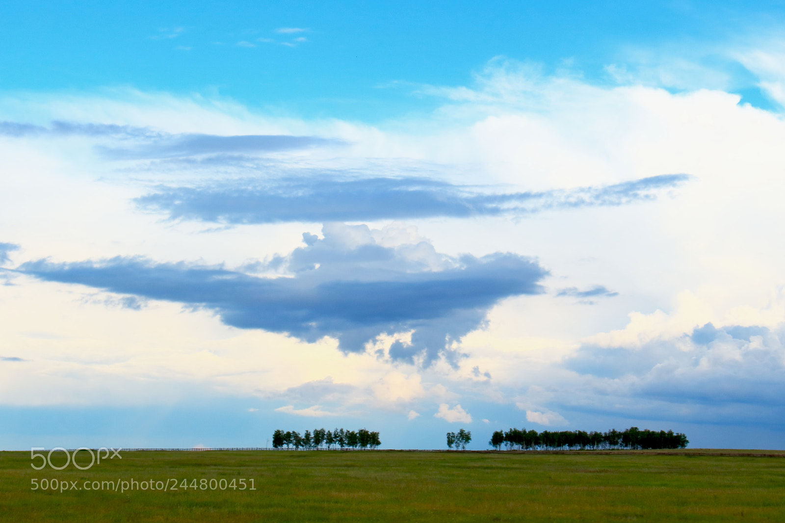 Canon EOS 100D (EOS Rebel SL1 / EOS Kiss X7) sample photo. Trees on green field photography