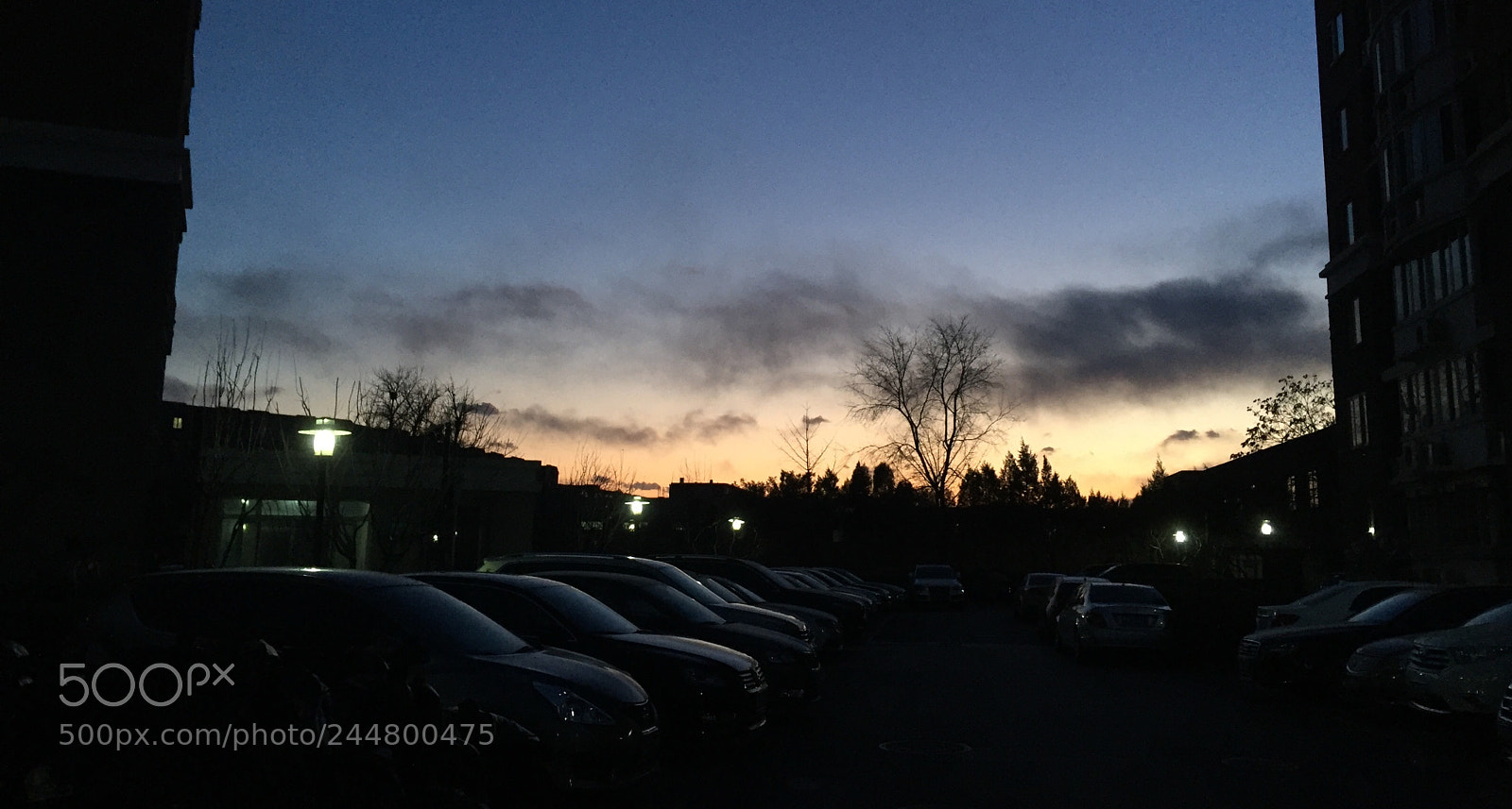 Apple iPhone 6 sample photo. Untitled photography
