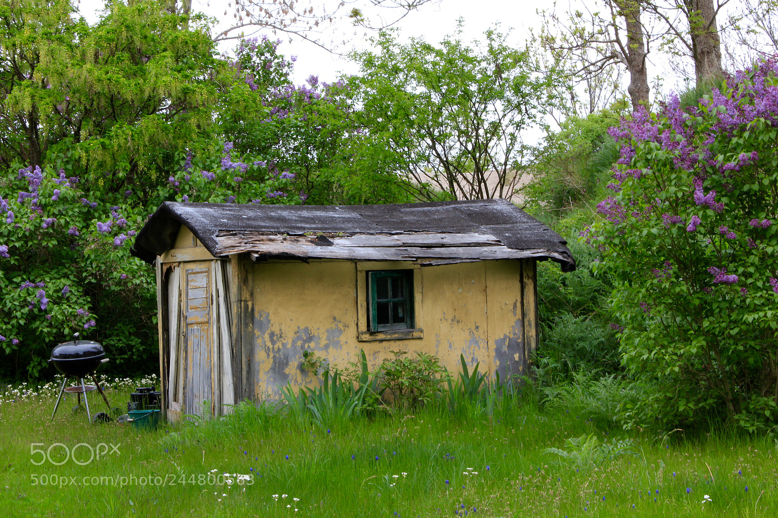 Canon EOS 550D (EOS Rebel T2i / EOS Kiss X4) sample photo. Cottage in the middle photography