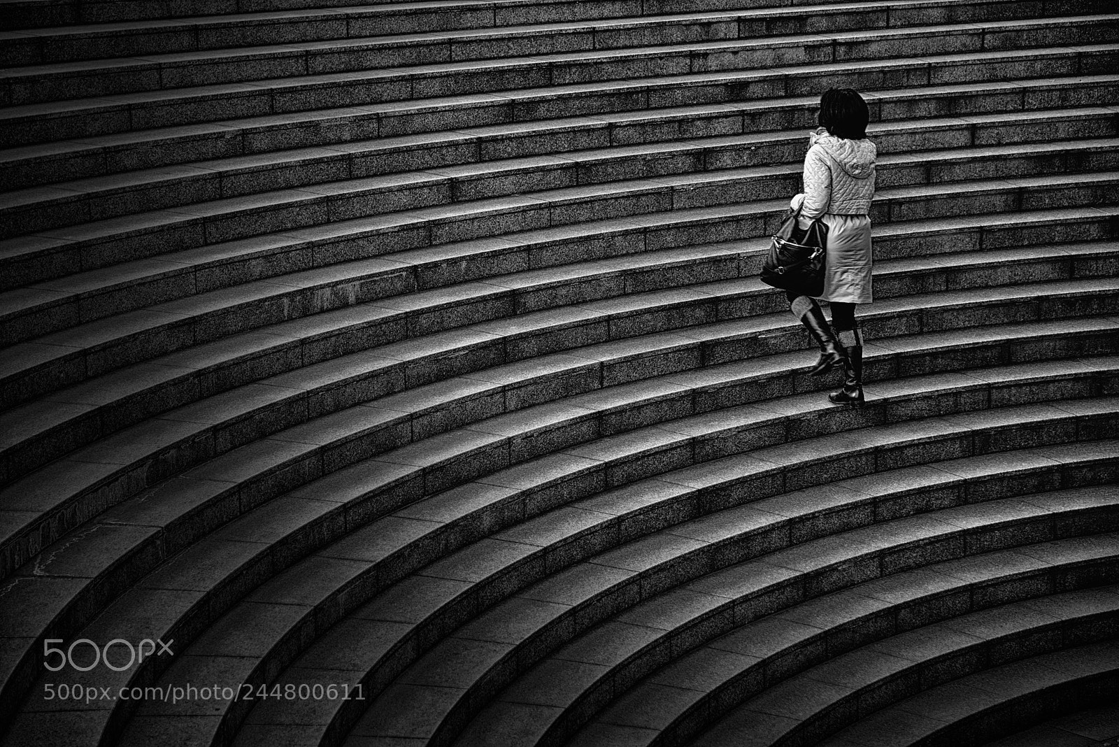 Nikon D600 sample photo. Walk up stairs photography