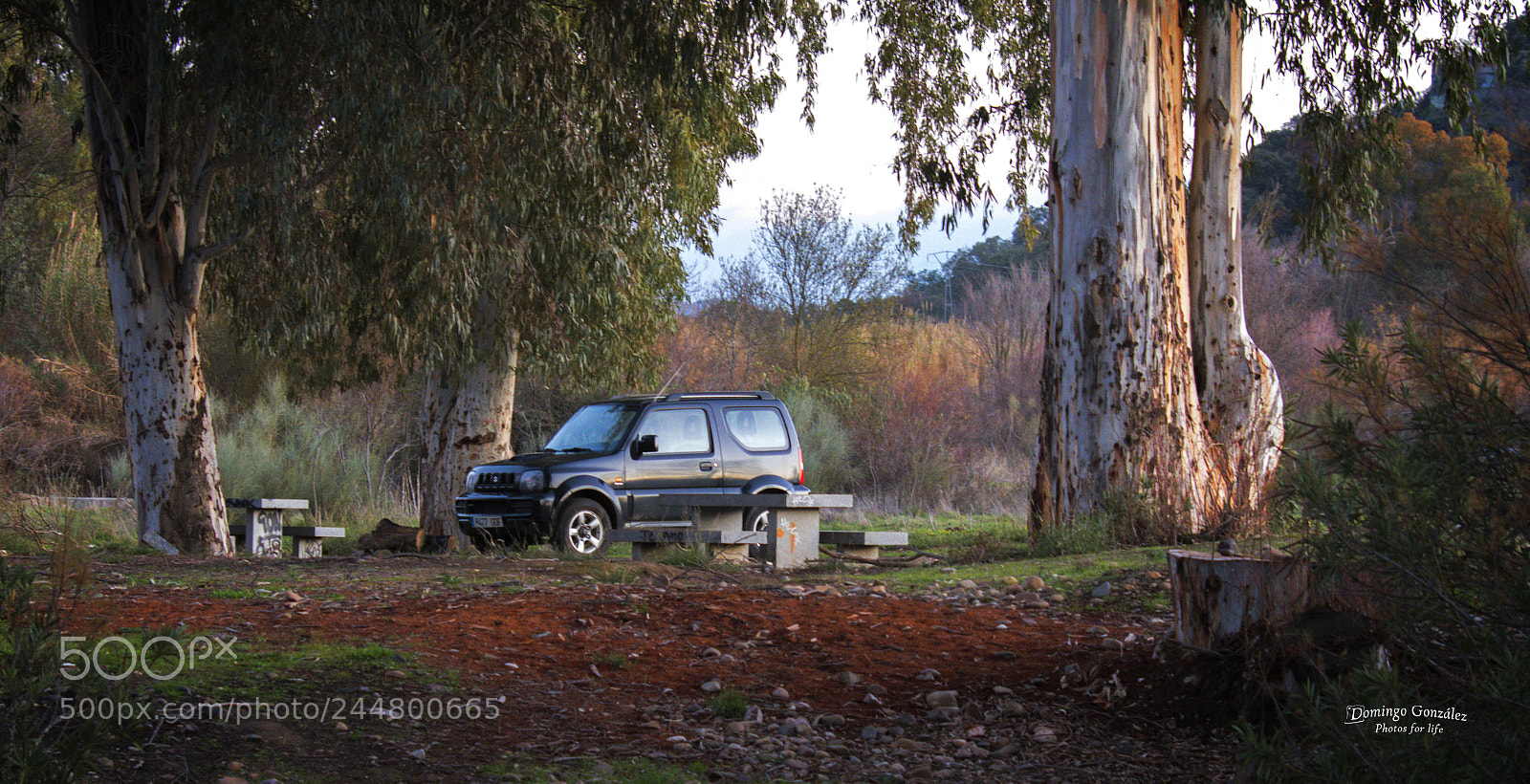 Nikon D500 sample photo. D a de cig photography