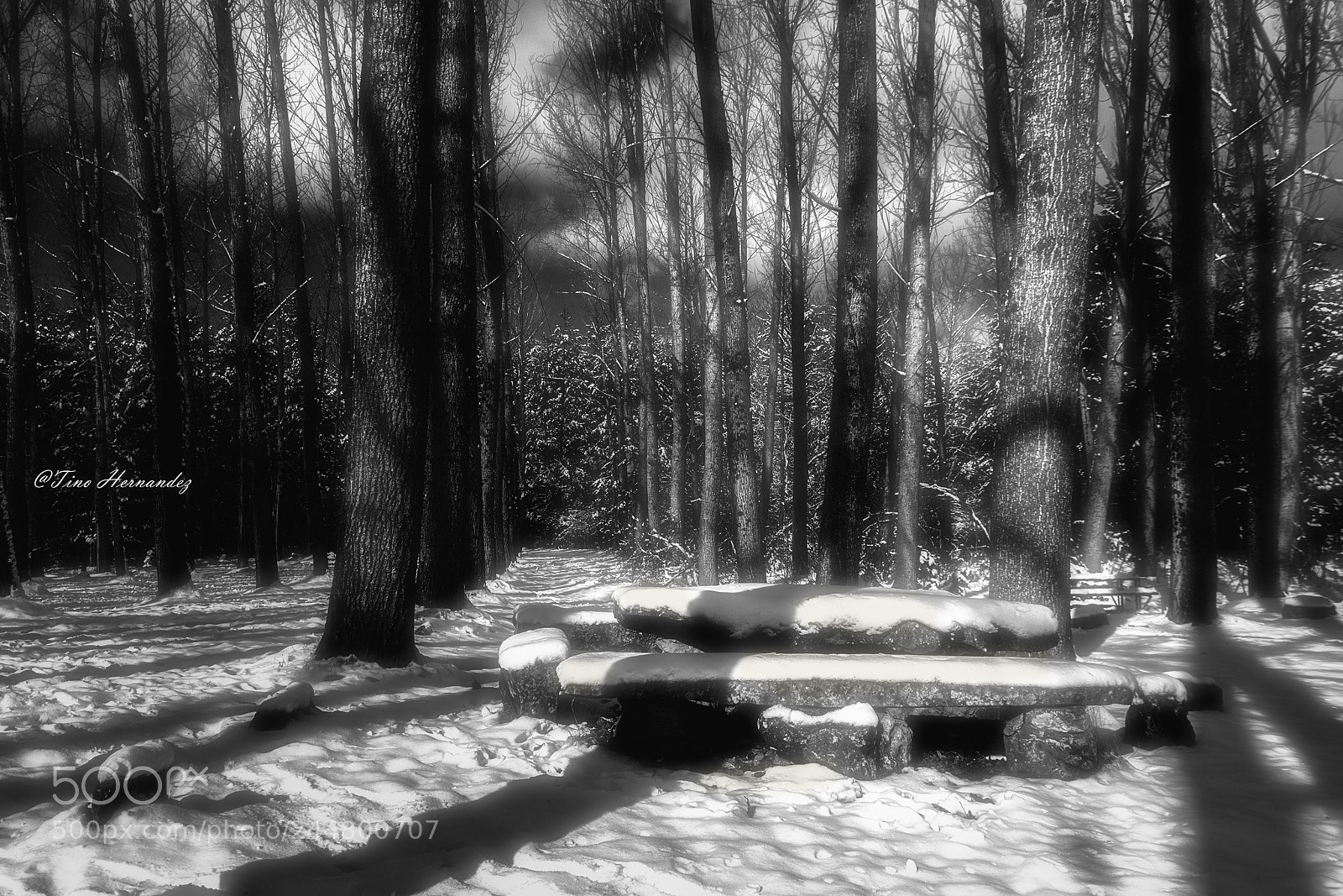 Nikon D7200 sample photo. The snow witcher's seat photography