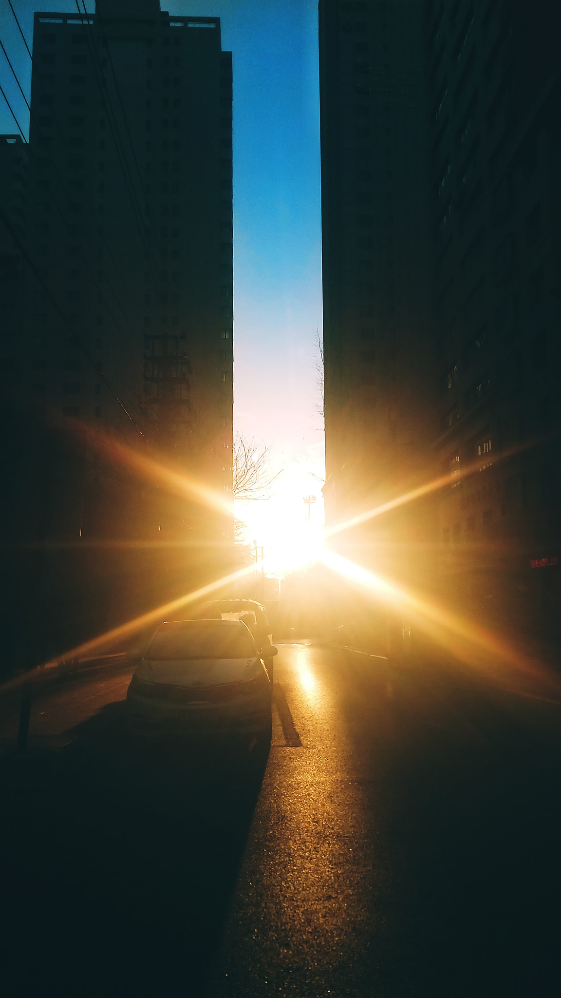 Xiaomi Redmi Pro sample photo. Morning photography