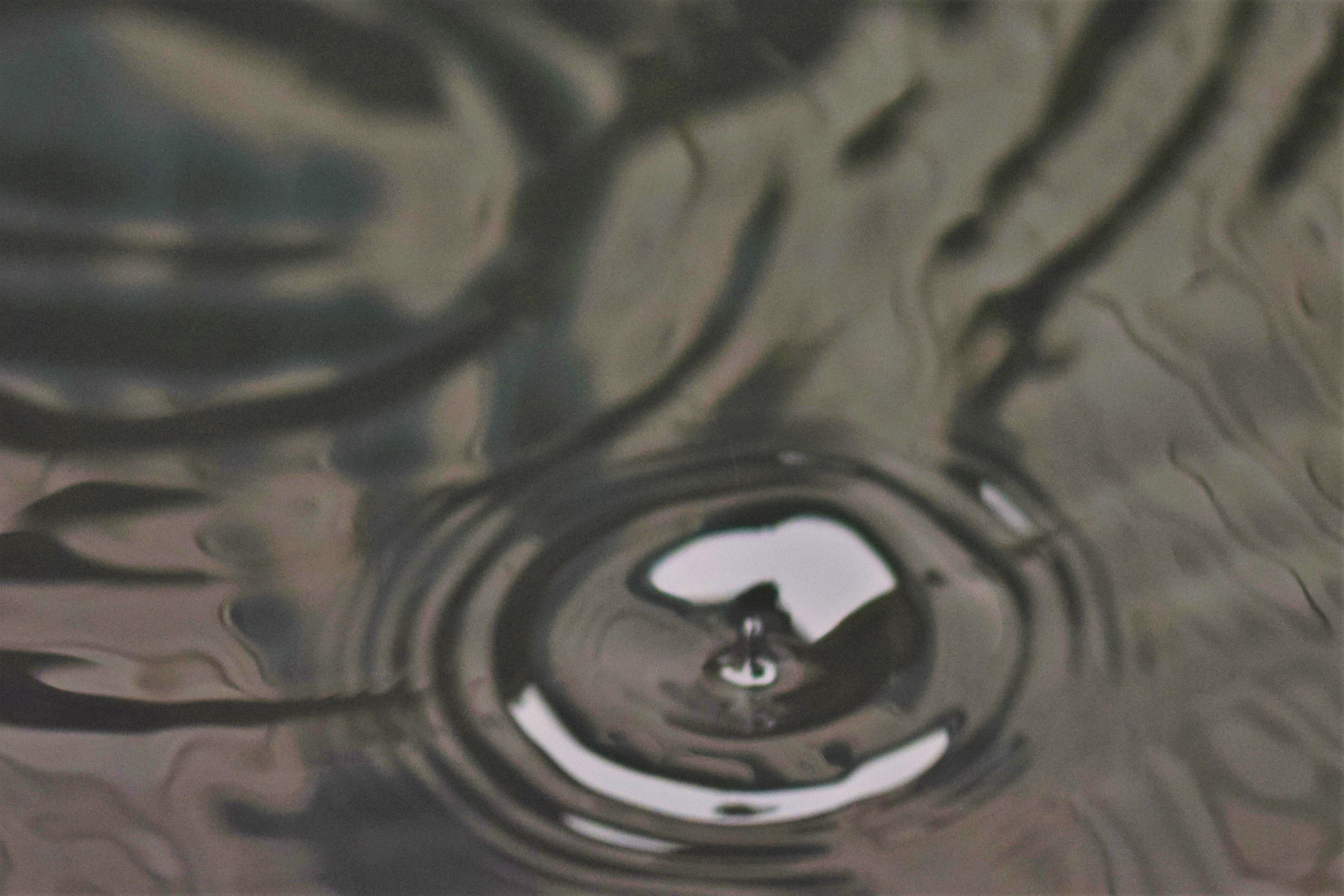 Sigma 105mm F2.8 EX DG OS HSM sample photo. A wet morning..... photography