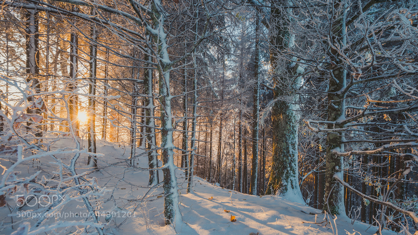 Nikon D800 sample photo. Sunrise photography