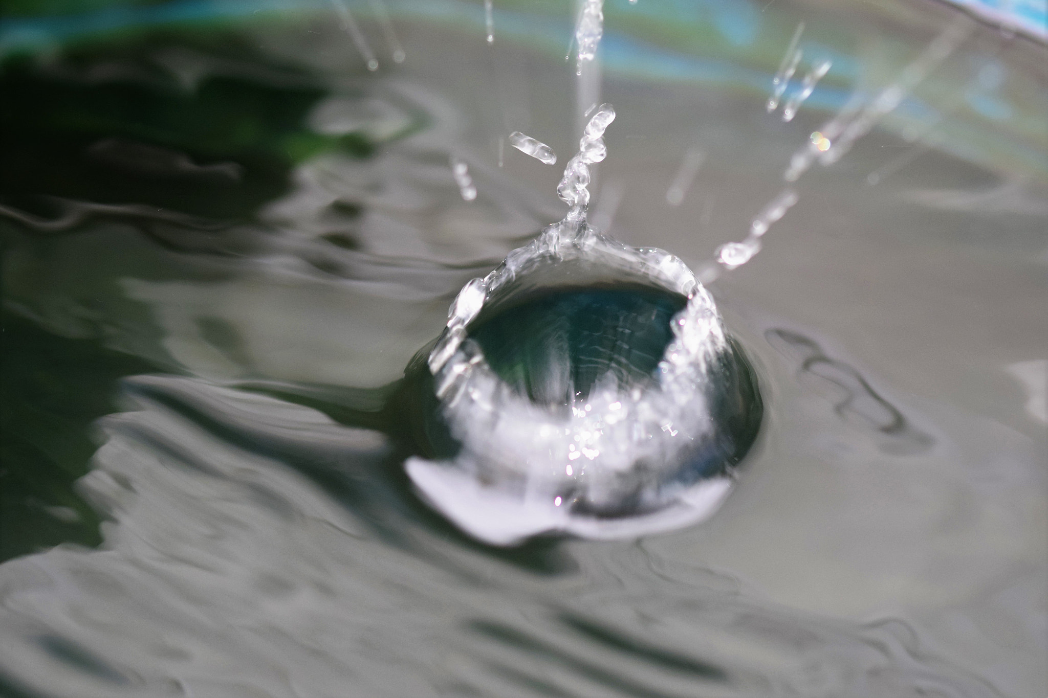 Nikon D5300 + Sigma 105mm F2.8 EX DG OS HSM sample photo. A wet morning..... photography